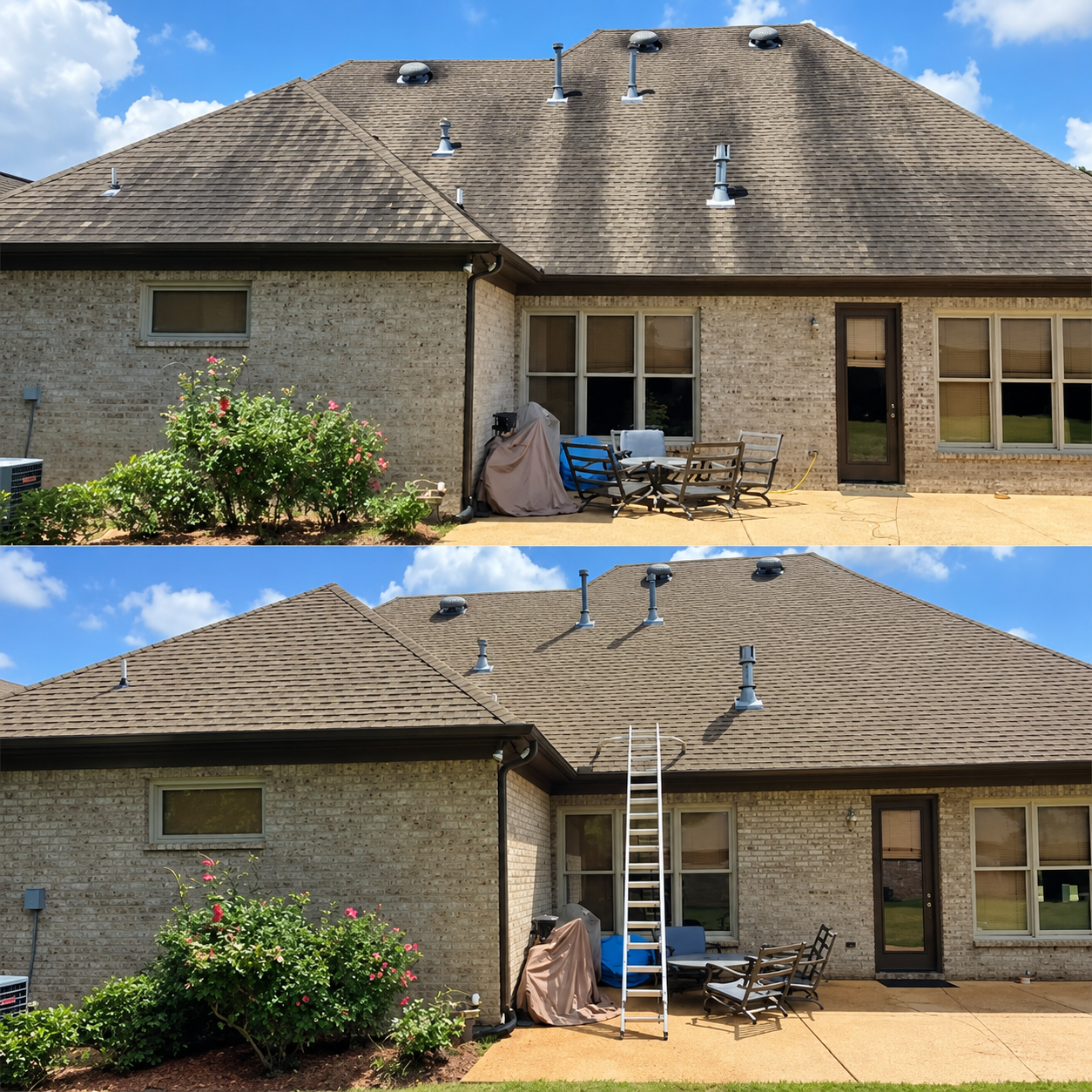 Roof Soft Washing