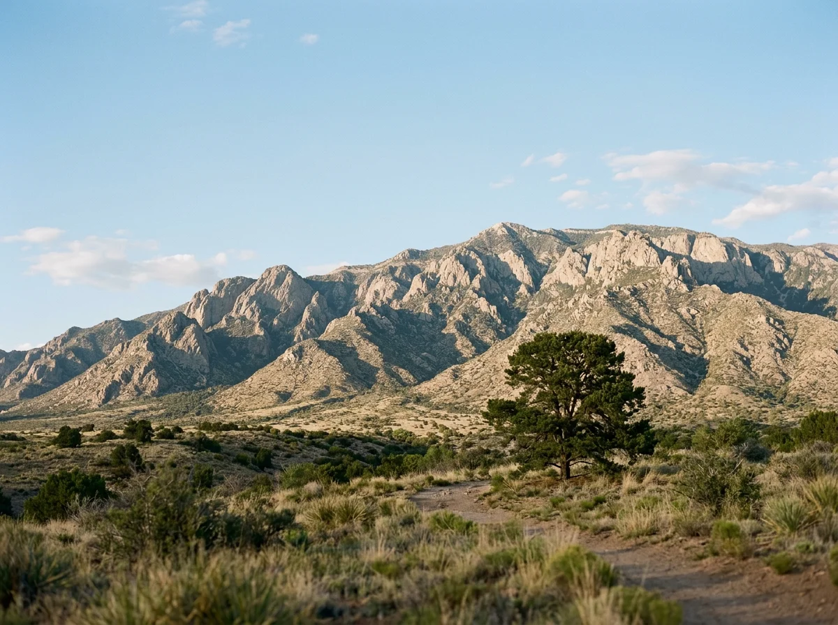 Mountain range in the distance with rocky peaks and a clear sky, foreground has desert vegetation with a single tree