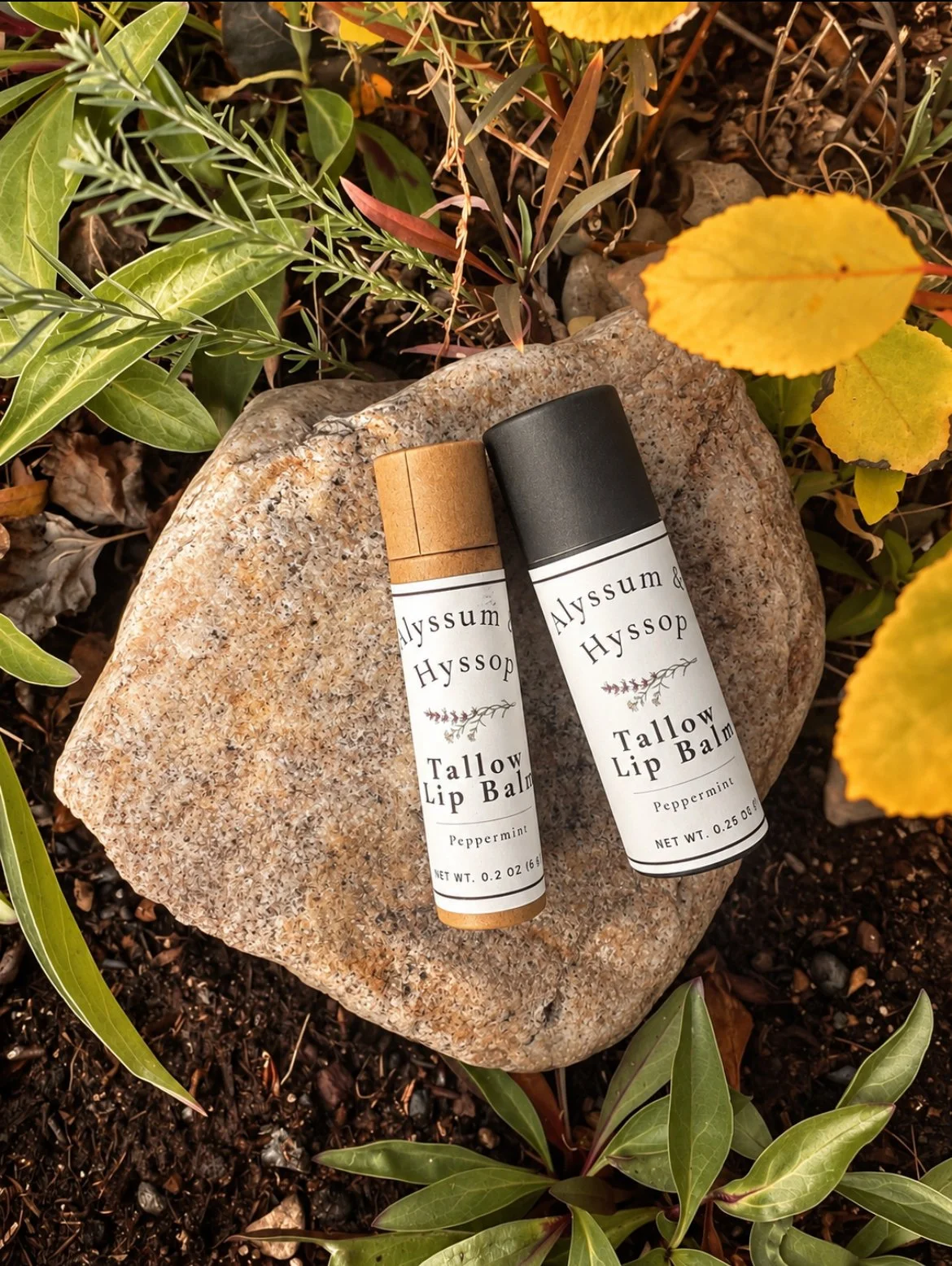 Tallow Lip Balm - Peppermint
