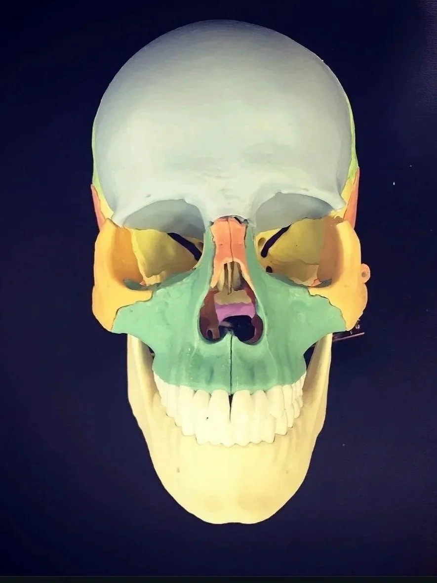 physiothérapie crâne mâchoire maux de tête céphalées