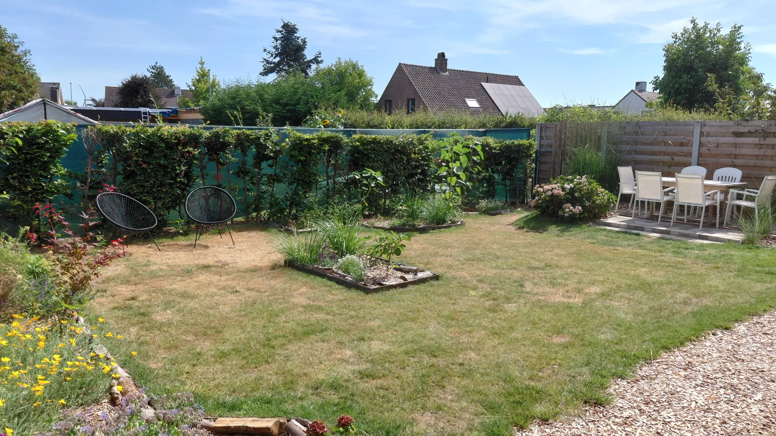 tuin.jpg