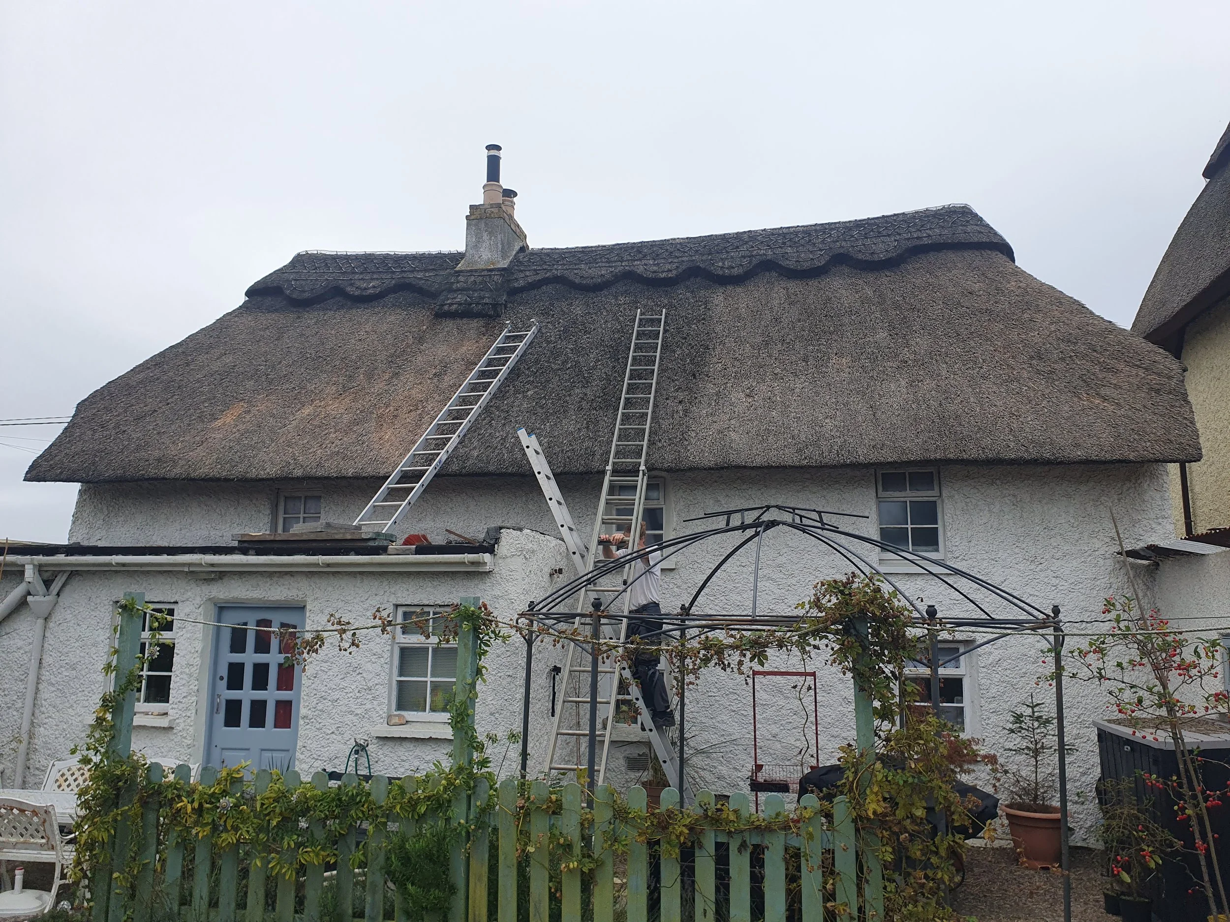Backyard scene with a house featuring a thatched roof, ladders positioned against the roof, and a person working near the chimney. The yard has garden plants, a white fence, and outdoor furniture, with cloudy skies above.