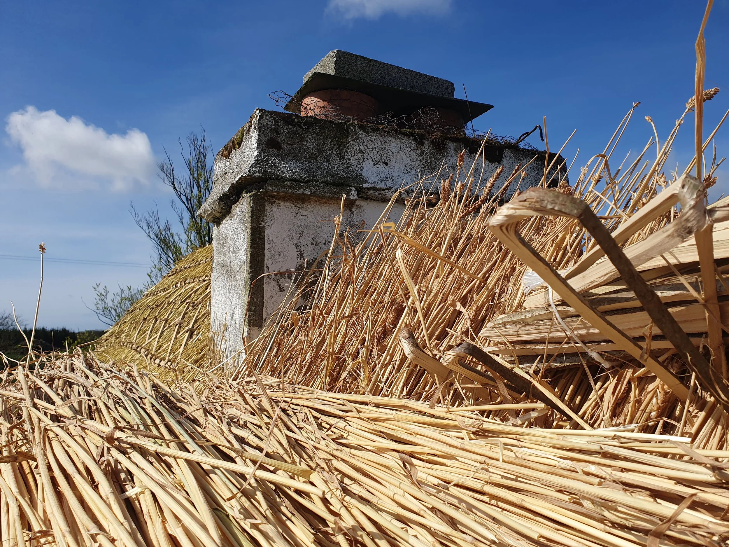 A chimney with moss and dirt, on top of a building, surrounded by dried grass under a blue sky with a few clouds.