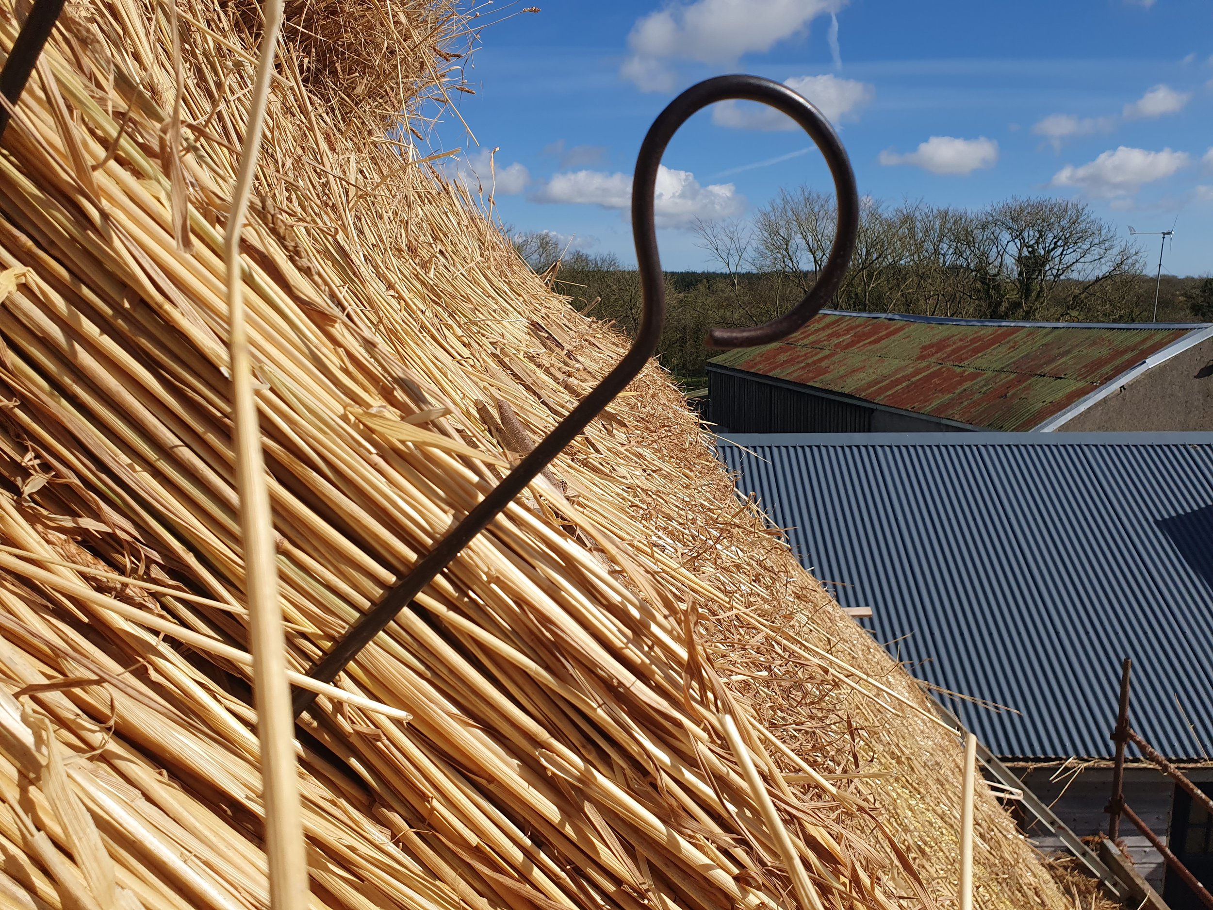 Close-up of a thatched roof structure with a metal hook in the foreground, a metal shed with a rusty roof behind it, and trees with a blue sky and clouds above.