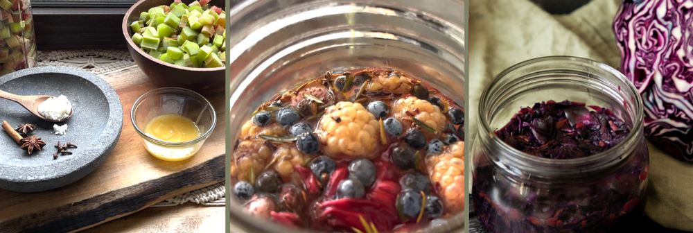 Fermented rhubarb with honey and spice, wild berry soda, and red cabbage kraut