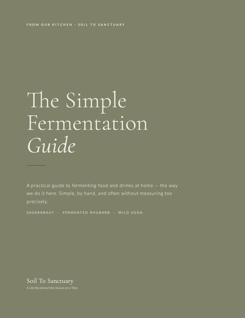 The Simple Fermentation Guide