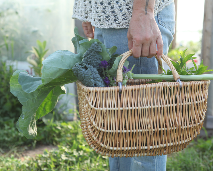 Garden Planning System