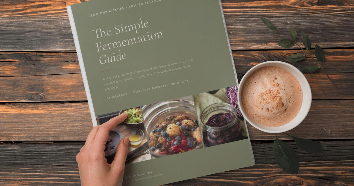 The Simple Fermentation Guide