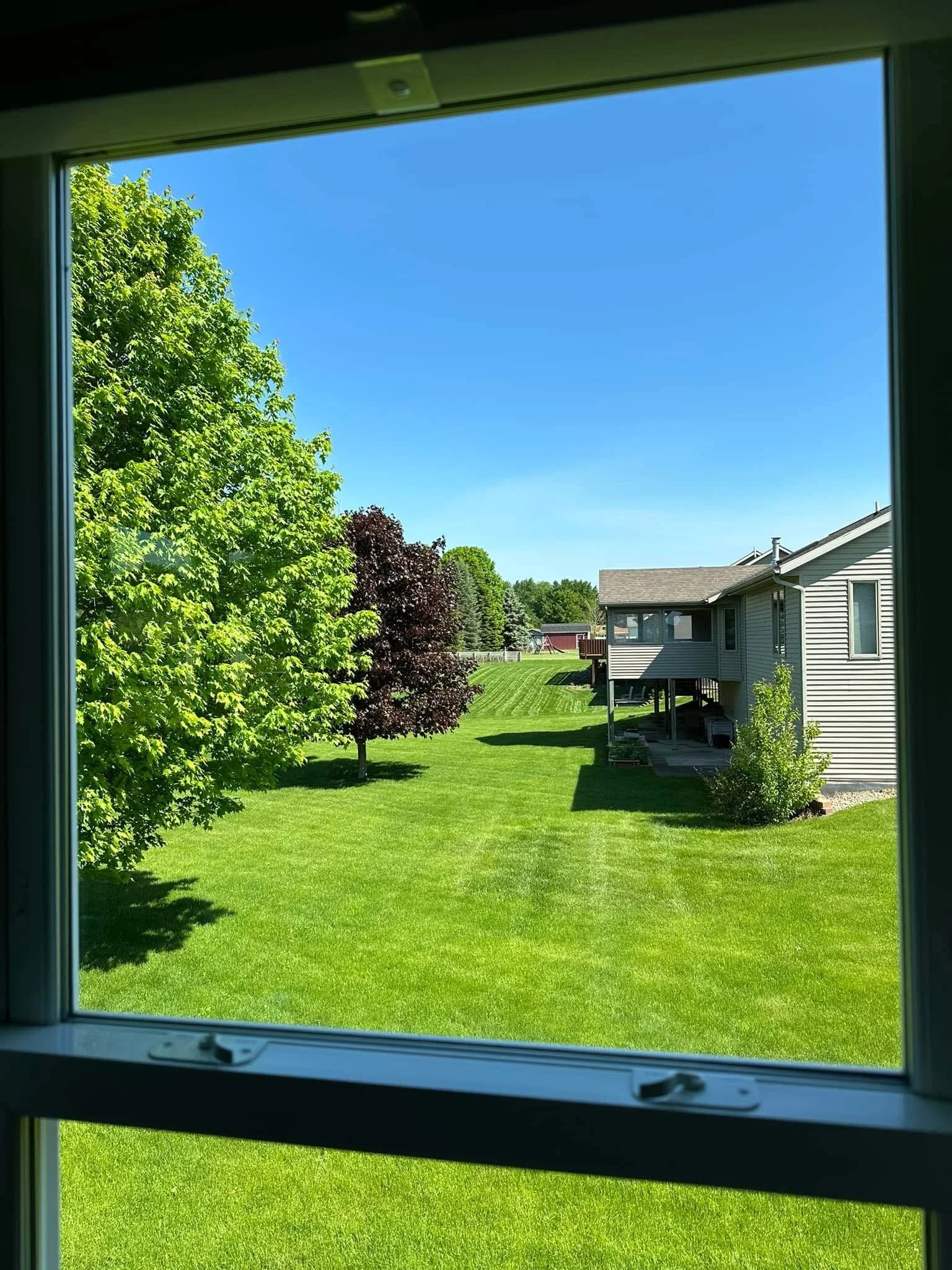 View of a backyard with a lush green lawn, several trees, and a neighboring house with a deck, seen through an open window on a sunny day.