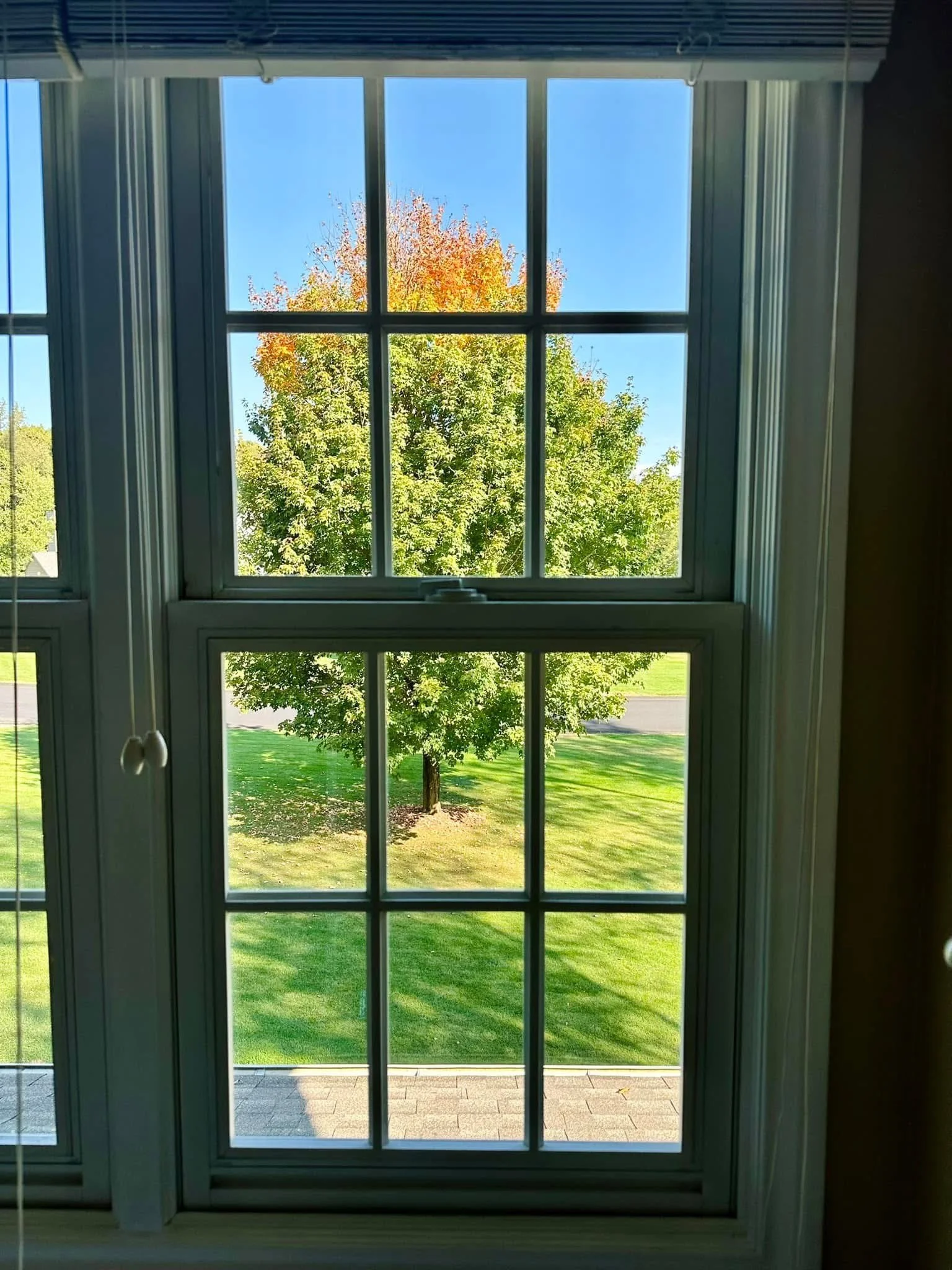 View through a multi-pane window showing green grass, trees with green and orange leaves, and a clear blue sky.