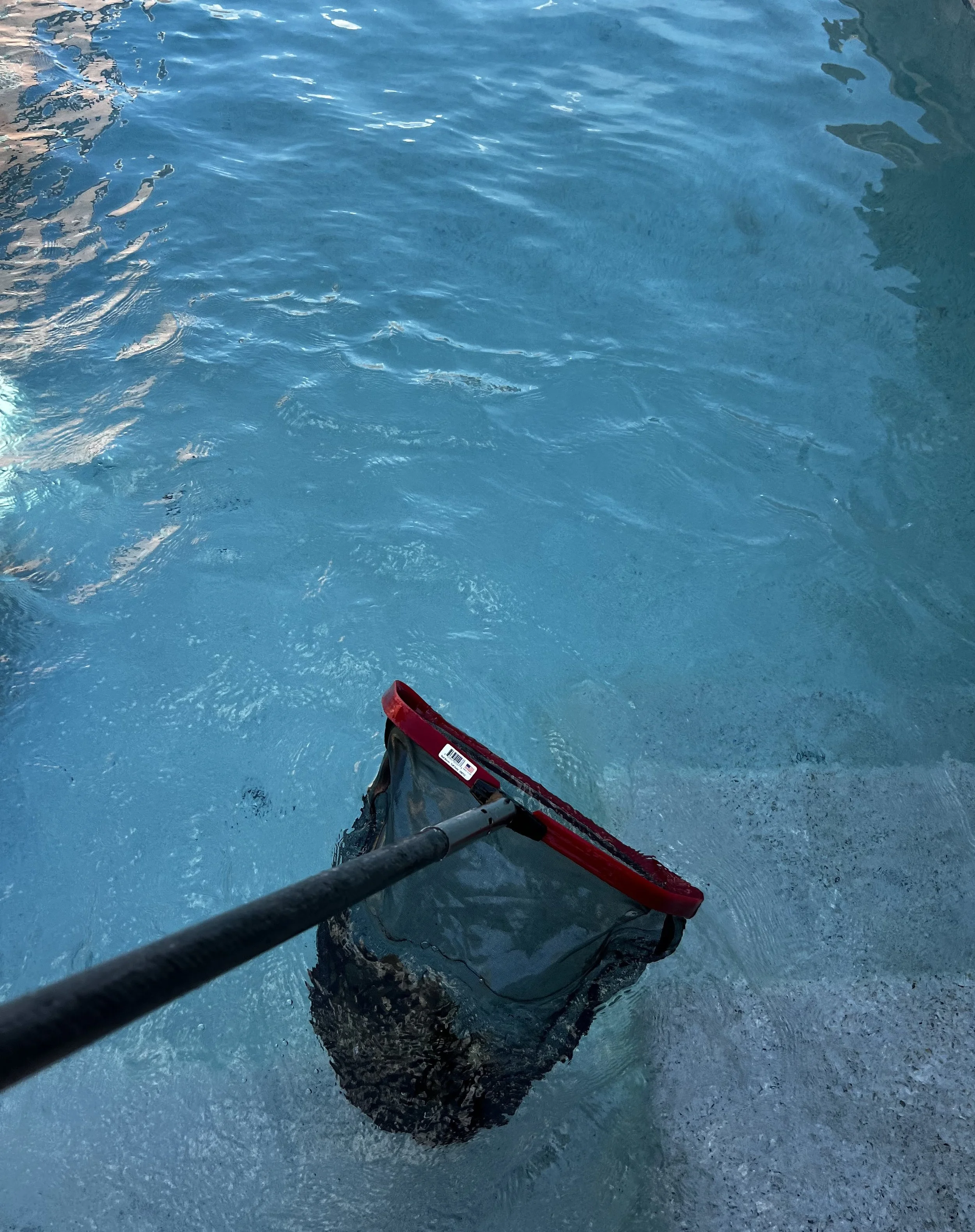 A person wearing black pants and a red life jacket is kayaking on blue water, with part of their paddle visible in the foreground.