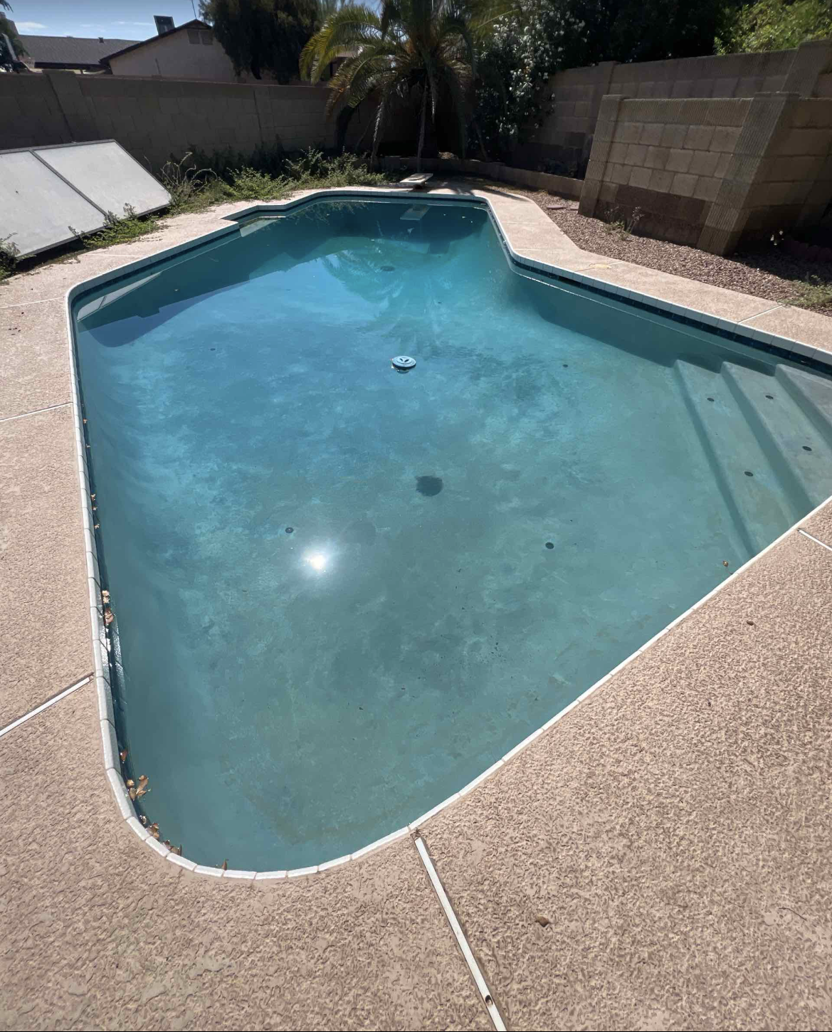 Empty backyard swimming pool with beige concrete patio and a brick wall in the background, a palm tree near the pool, and two solar pool covers leaned against the wall.