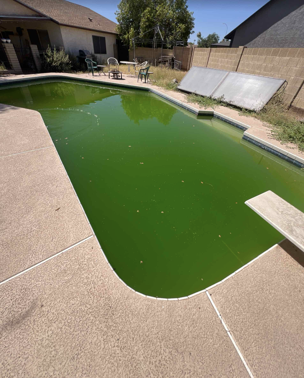 A backyard swimming pool filled with green algae, surrounded by tan concrete pavers, with outdoor furniture and a fence in the background.