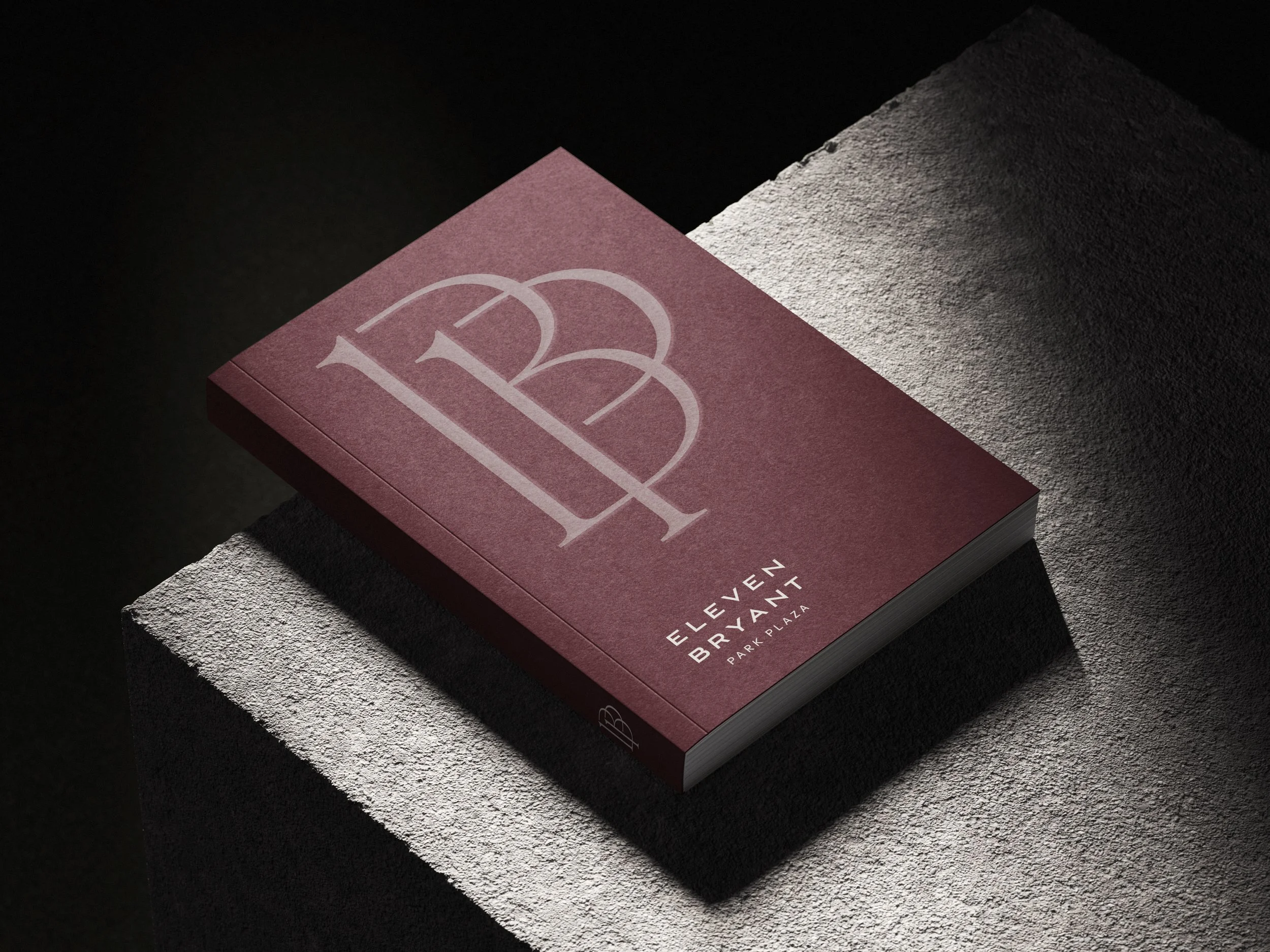 11BP - Book.jpg