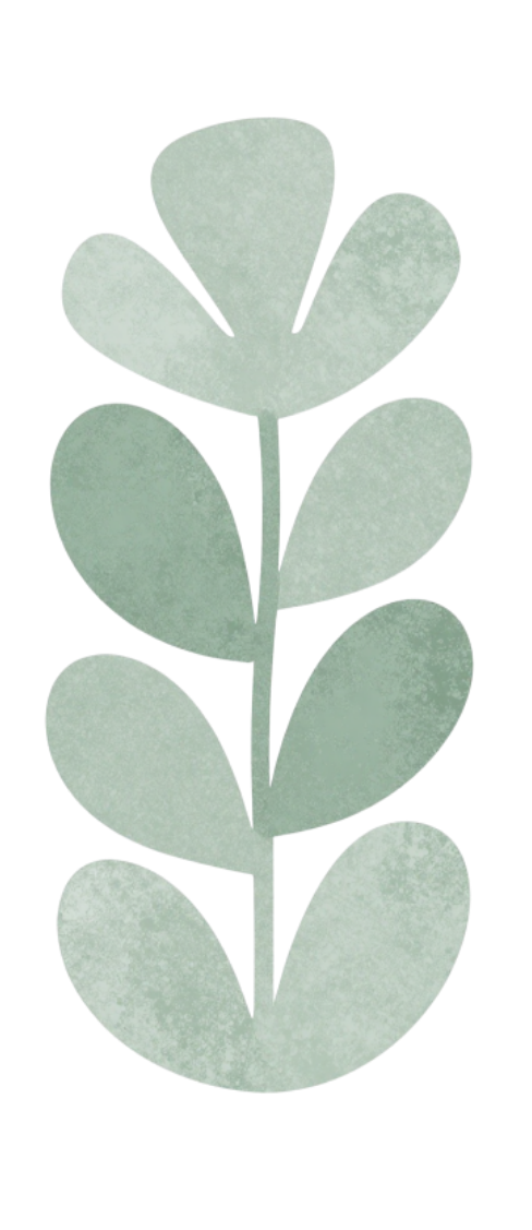 A stylized illustration of a green plant with rounded, oval-shaped leaves on a single stem.