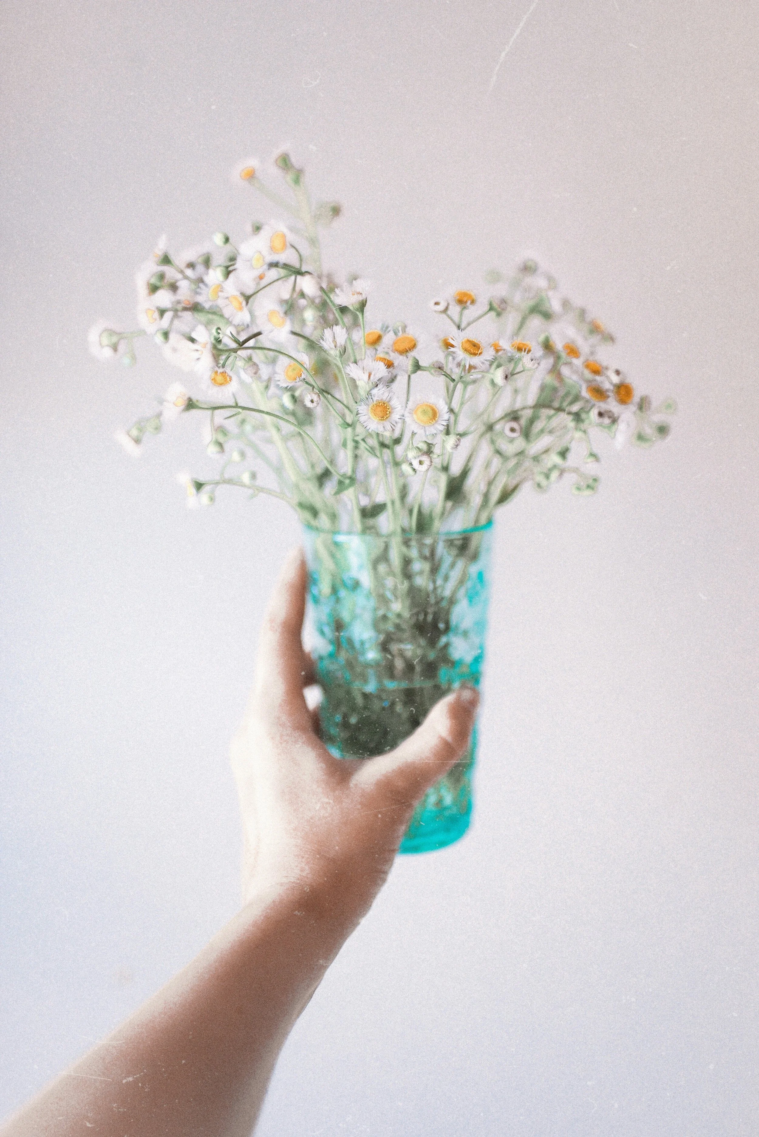 A hand holding a clear blue glass vase with white daisies and yellow-centered small flowers against a gray background.