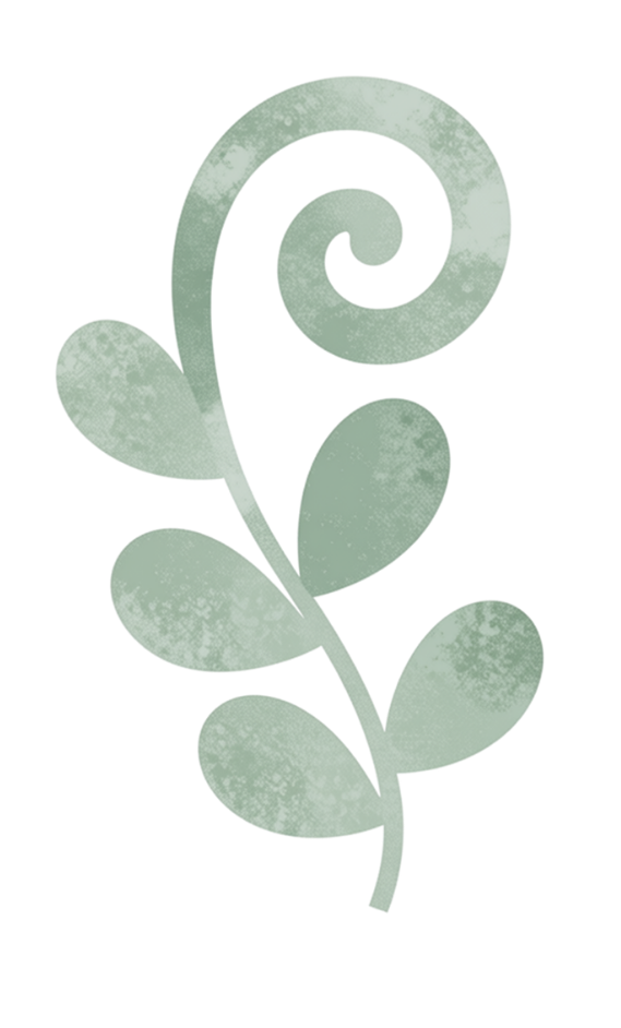 A light green eucalyptus branch with spiral-shaped top and oval leaves.