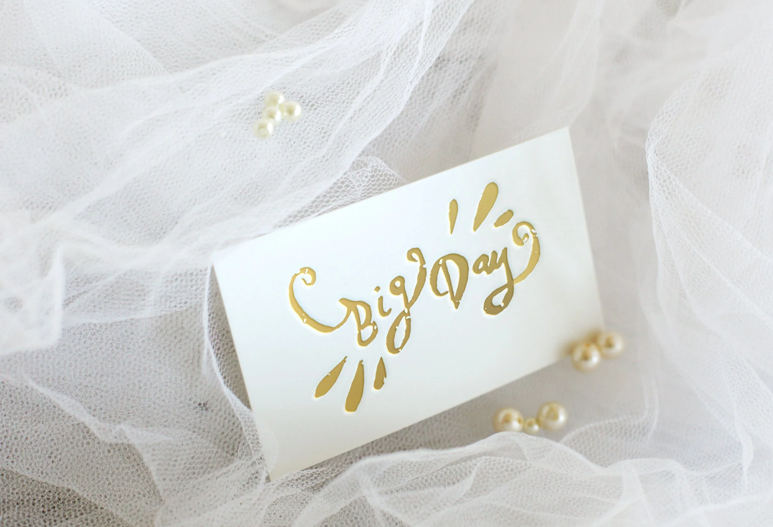 Logo for Big Day event company 
Louisville, Kentucky 