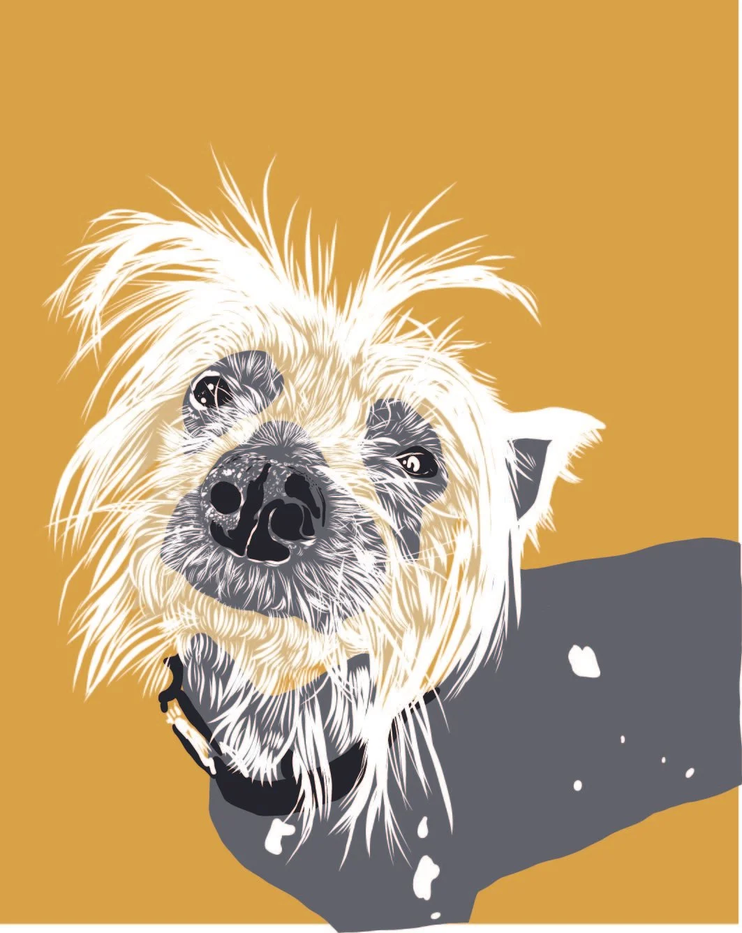 Bowie
Digital Illustration