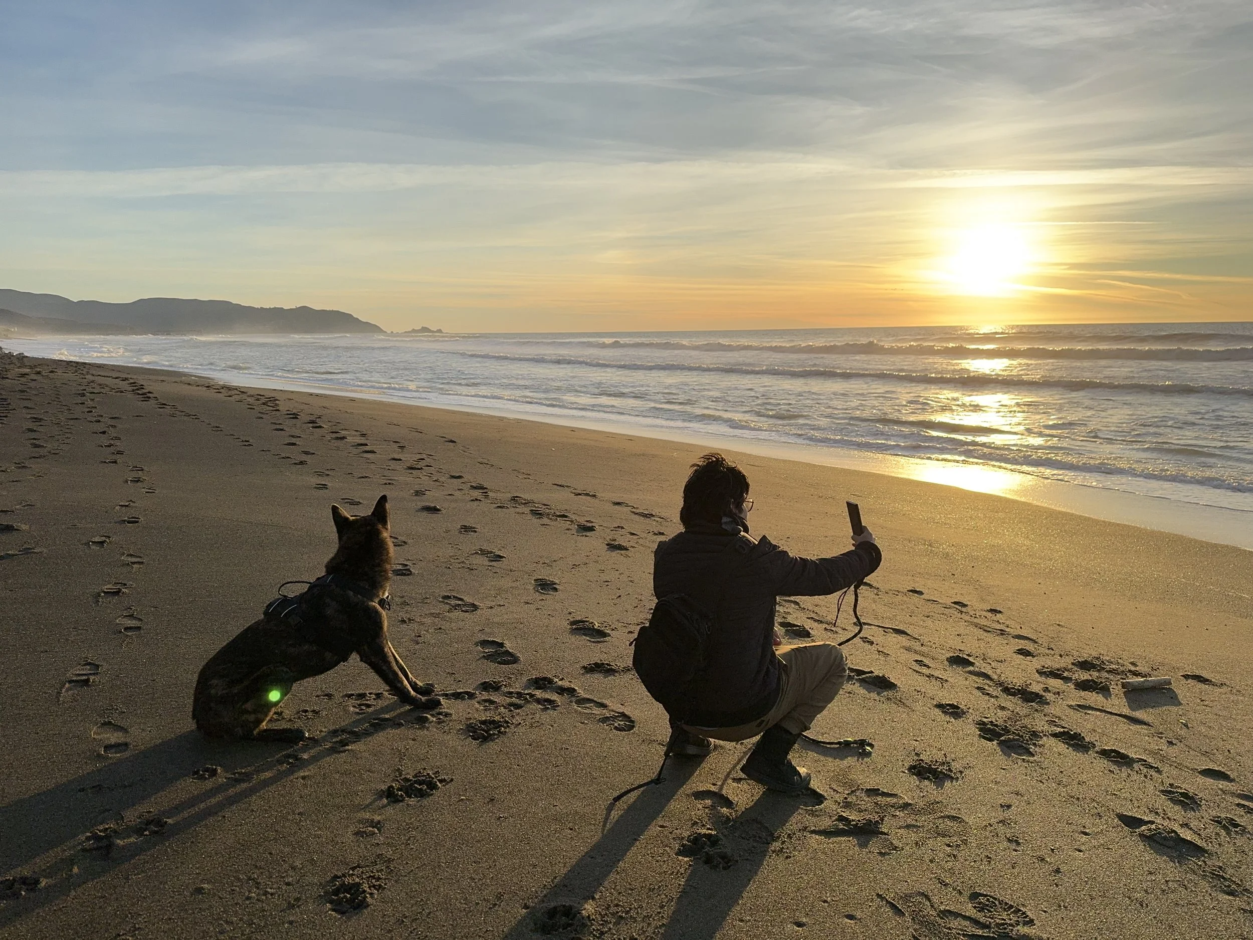 A Dog Owner's Guide to Pacifica Beach — Alpha's Favorite Bay Area Spot