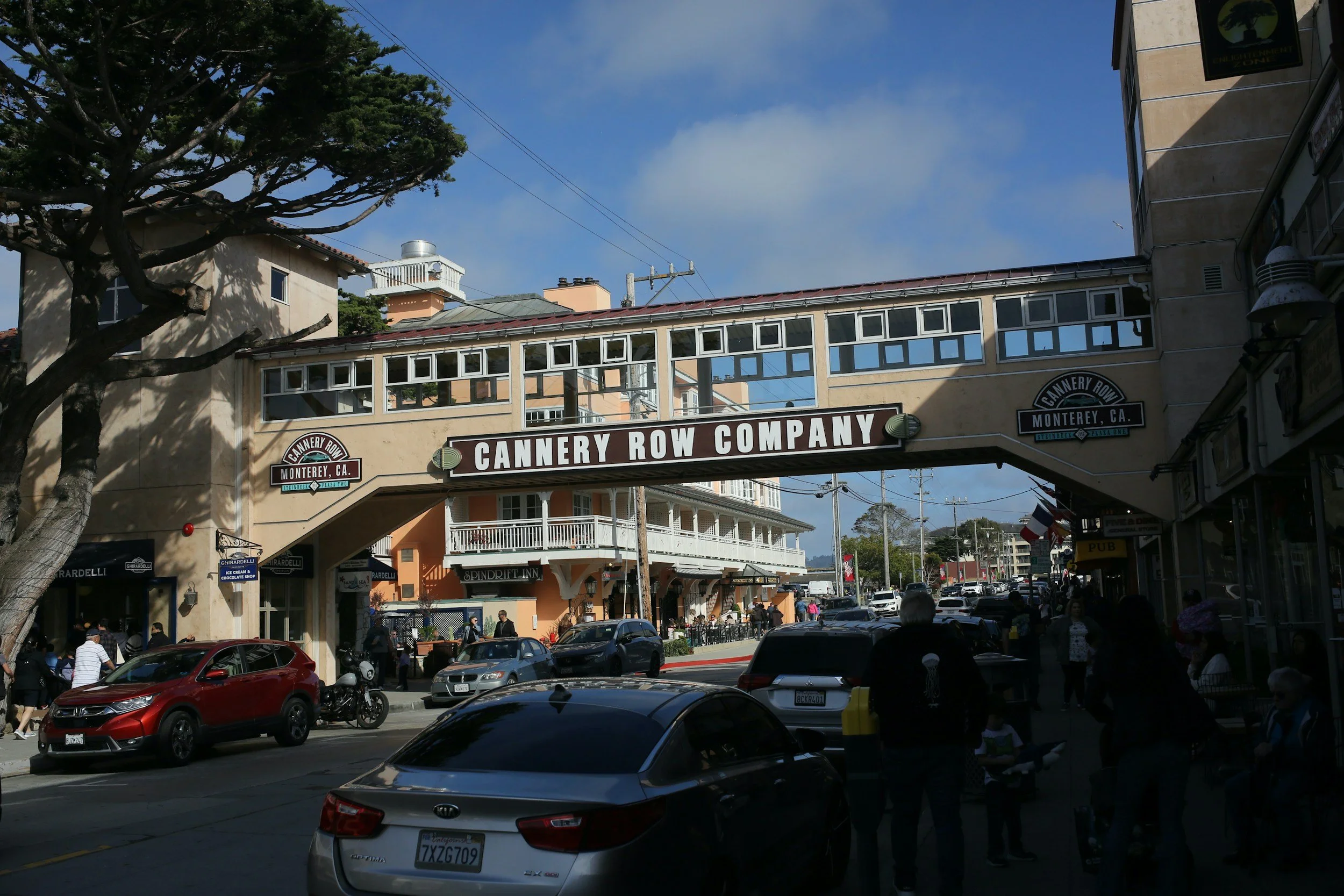 Dive Deep, Dream Bigger: A Family Guide to Monterey Bay Aquarium