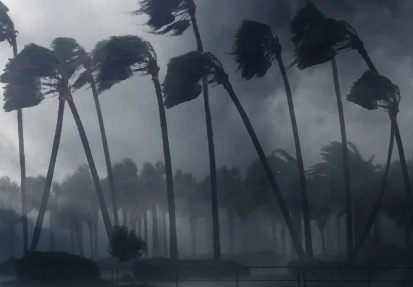 hurricane force winds in south carolina