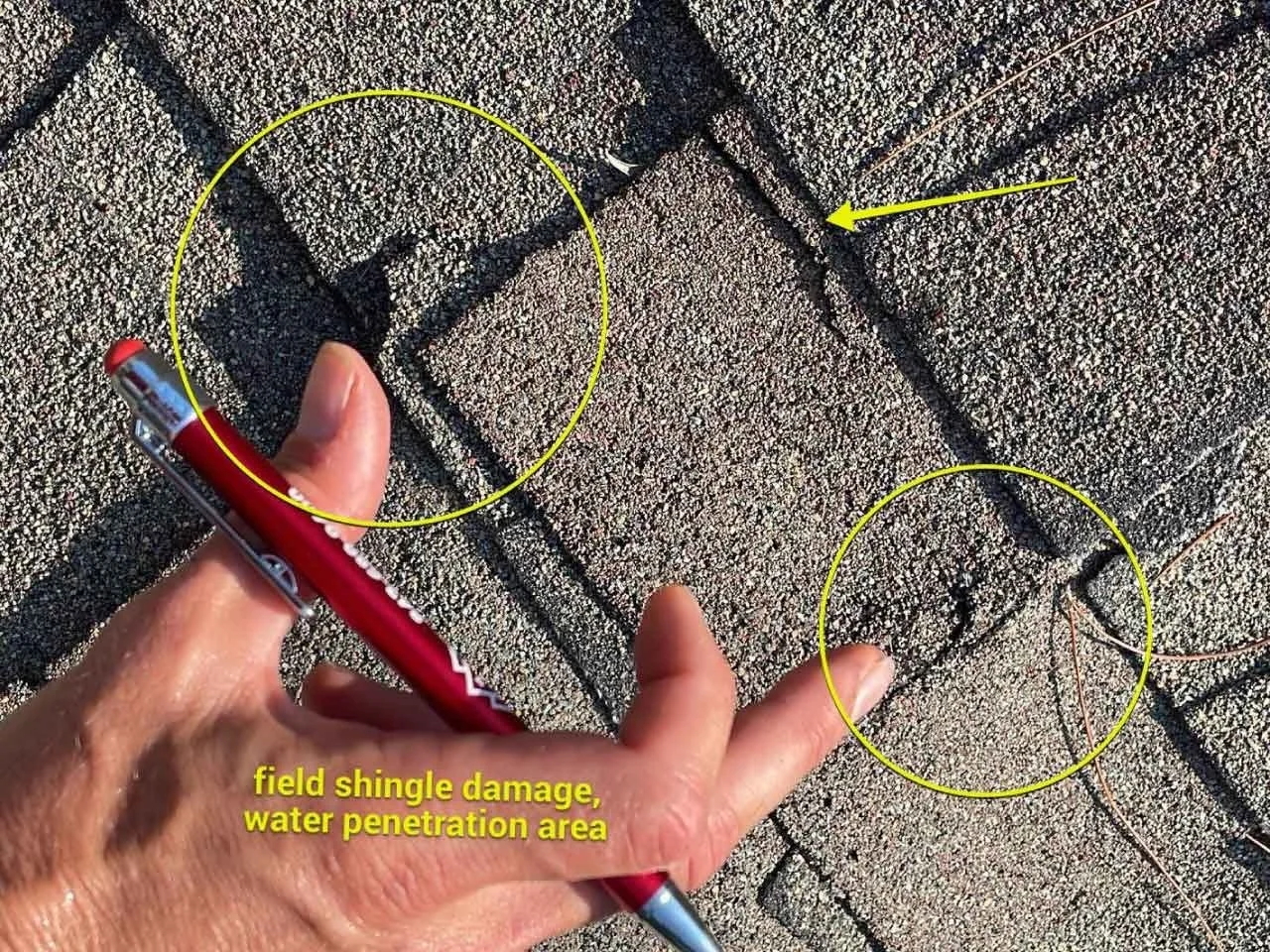 roof inspection in hilton head