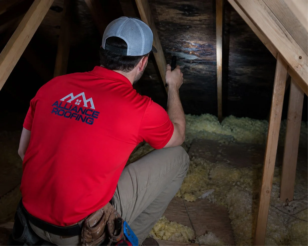 roof inspection inside attic