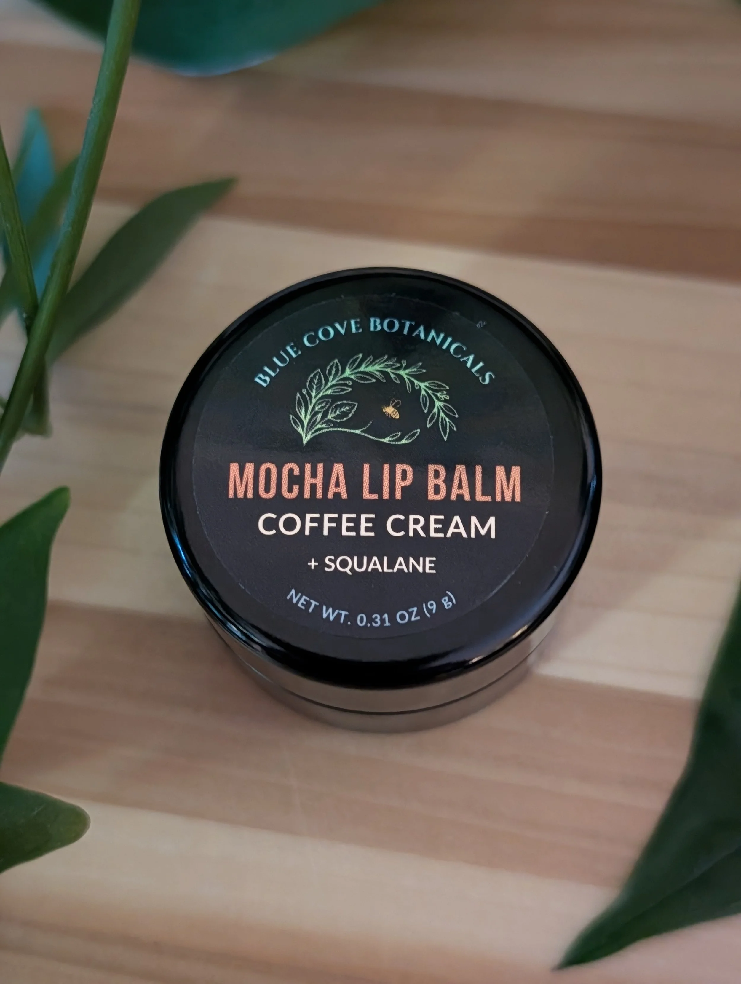 0.31 oz Mini Jar - Mocha Lip Balm – Coffee Cream
