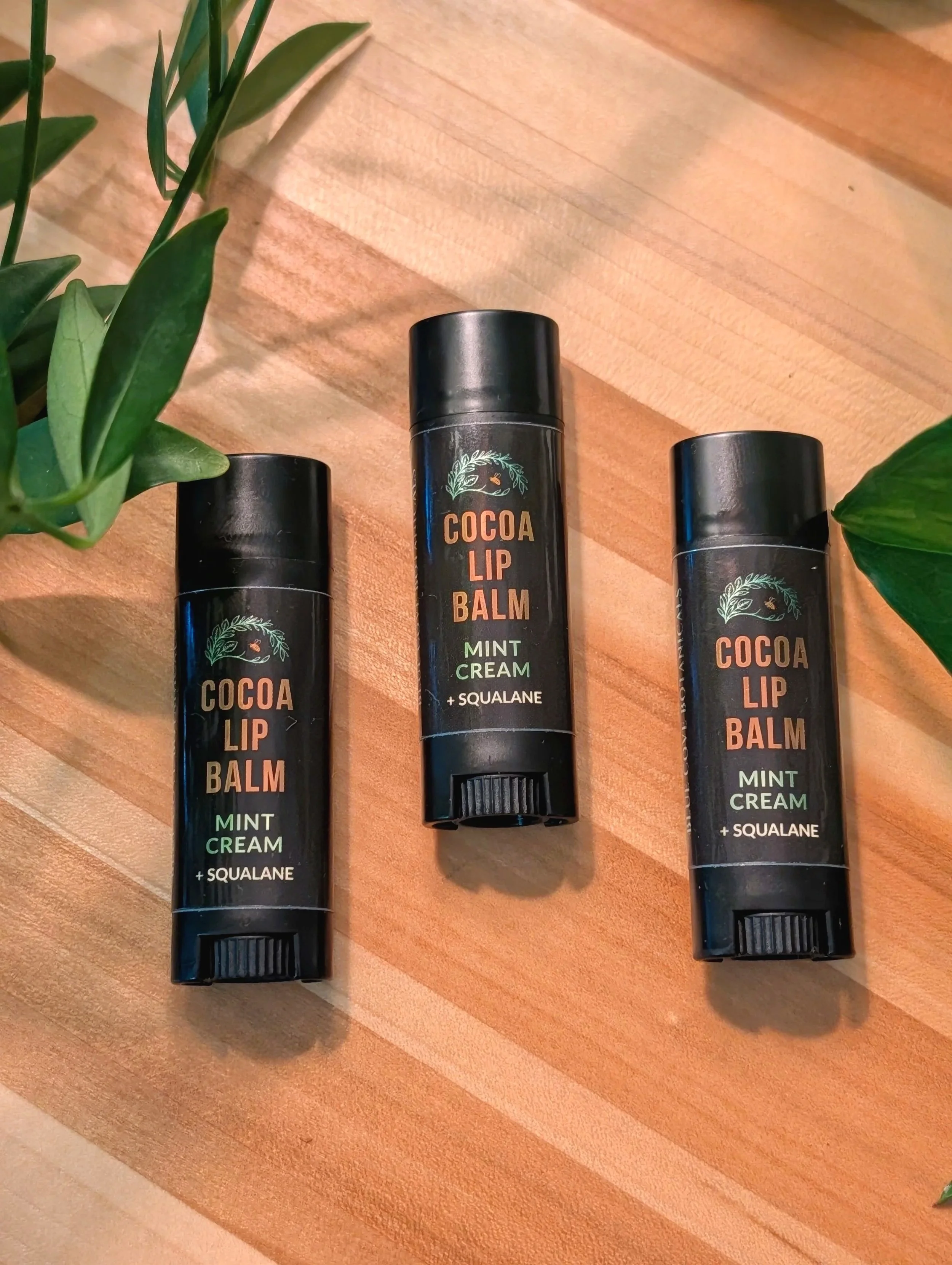 Cocoa+Mint+-+3+Laying+Down.jpg (Copy)