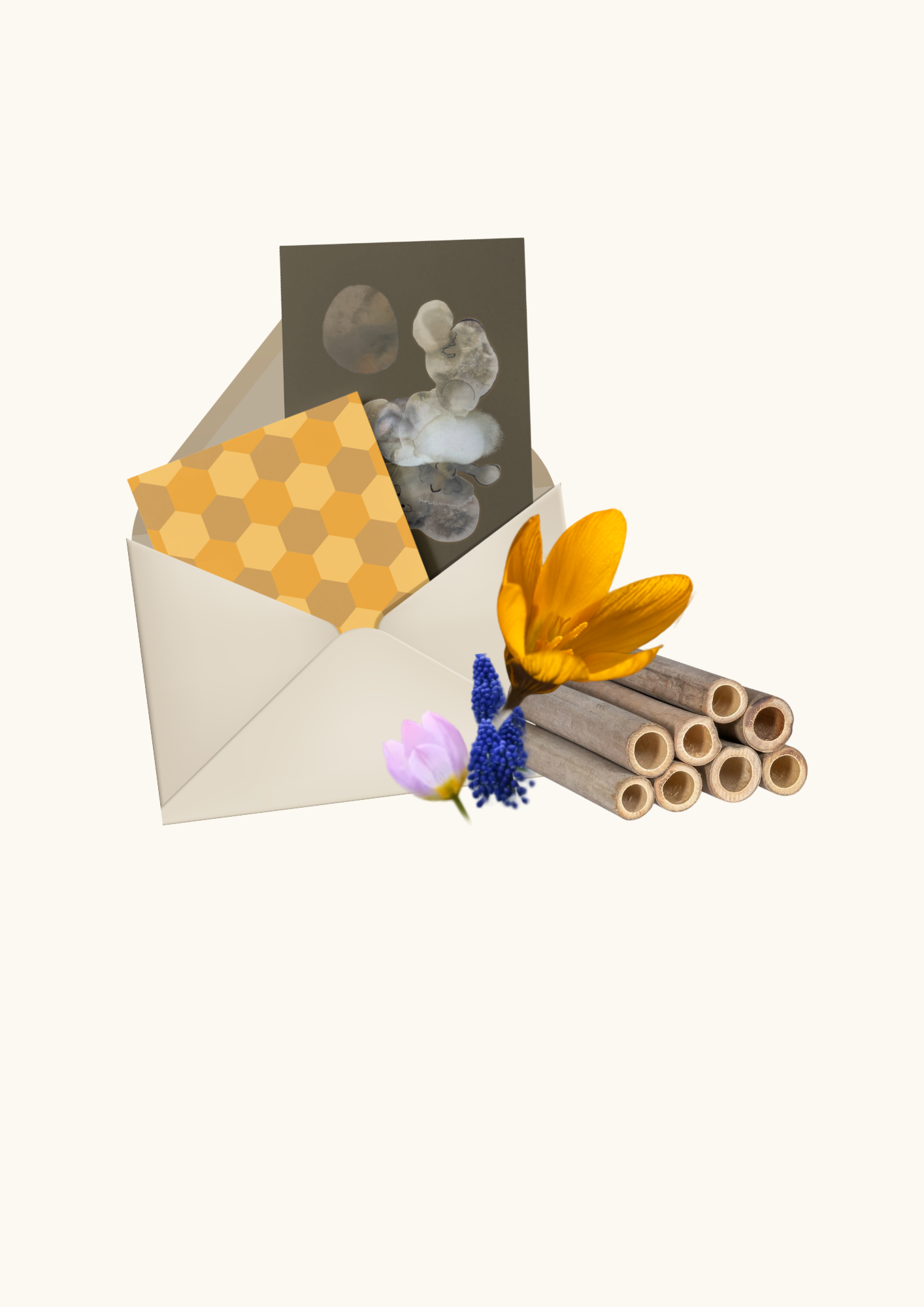 Edition no°1 | The wild bee box