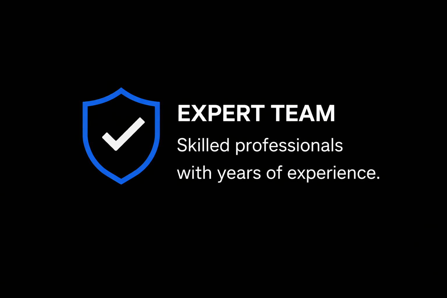 Black background with a shield icon containing a checkmark, next to text that reads "EXPERT TEAM" and "Skilled professionals with years of experience."