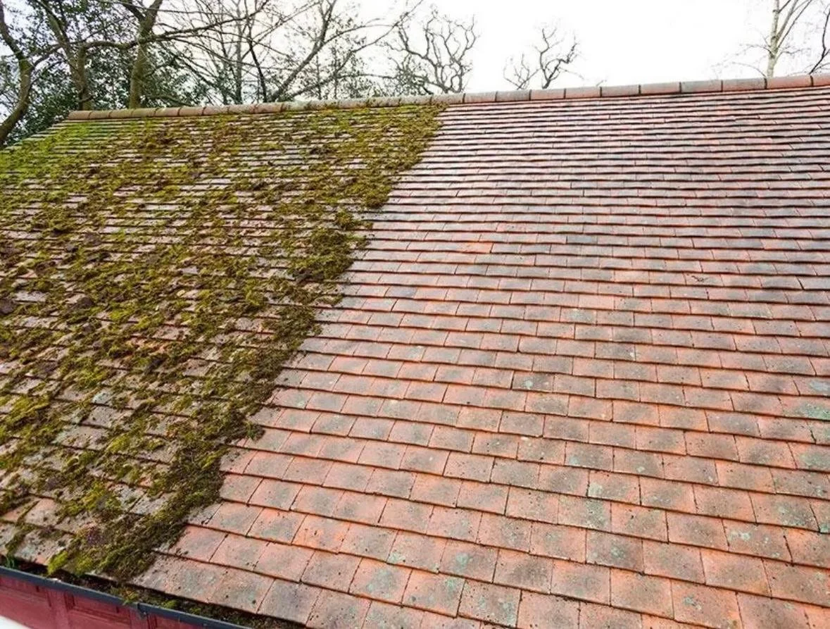 A roof with two sections: one covered in moss and the other clean, with brownish-red shingles and trees in the background.