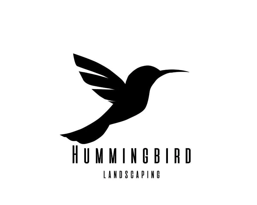Hummingbird Landscape
