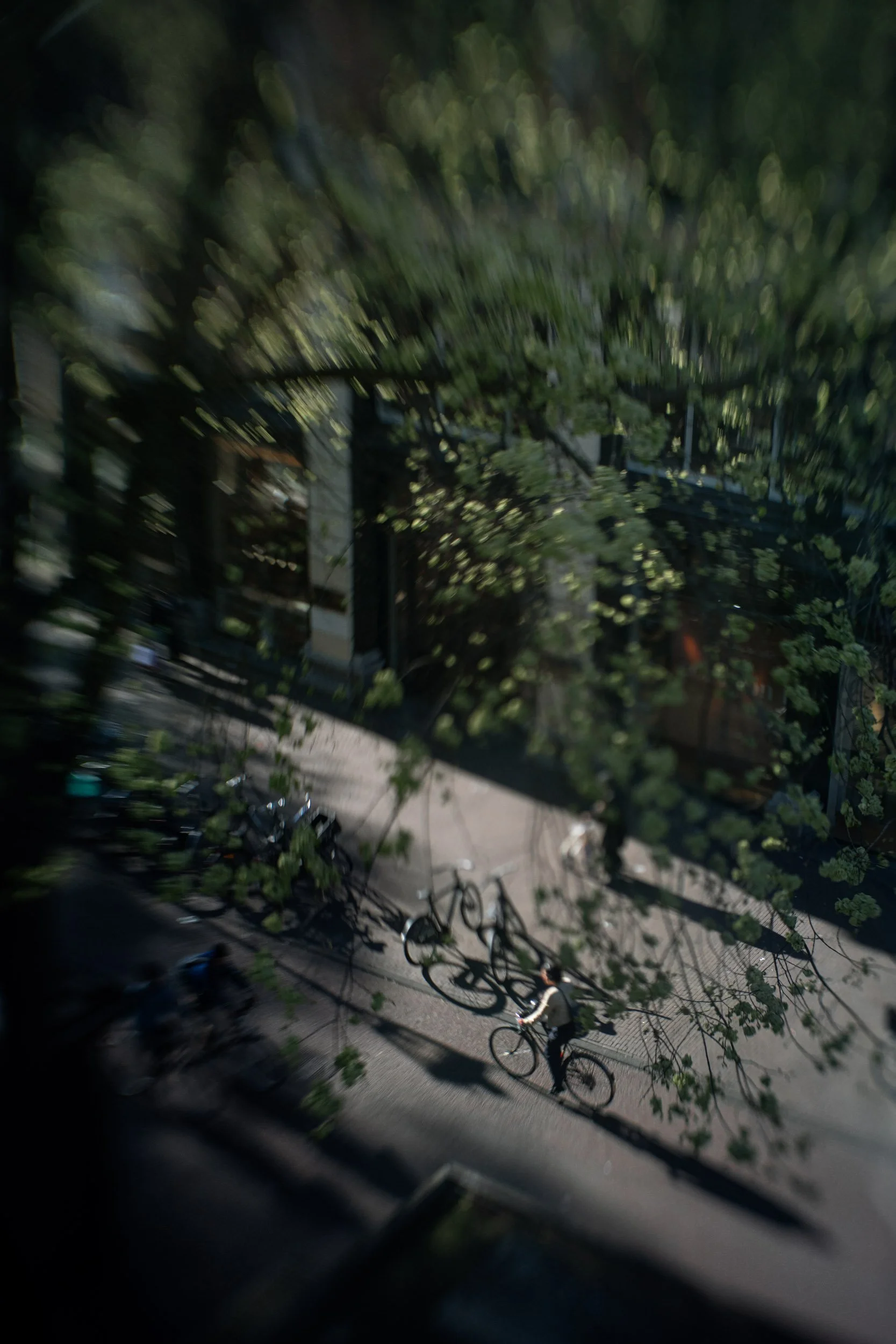 Motion & Blur-031-Bicycle in Afternoon Light.jpg