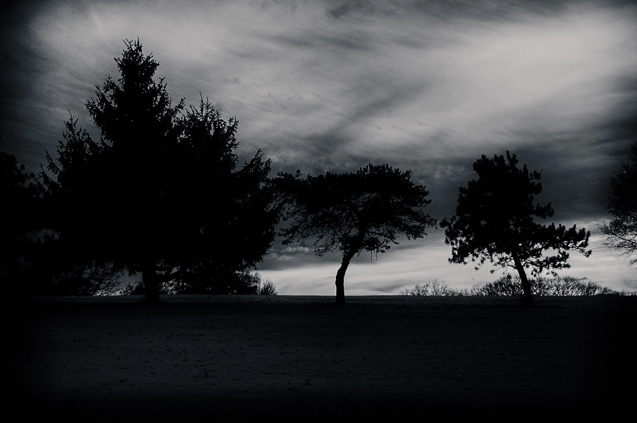 B&W-Infrared-004-Trees at Dusk.jpg