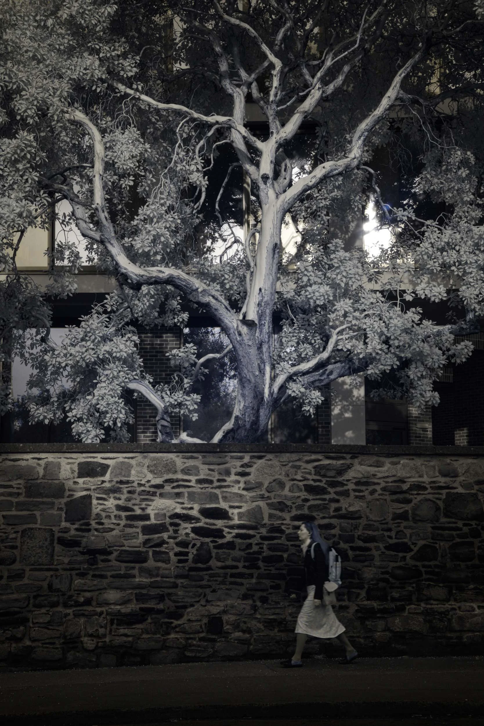 B&W-Infrared-014-Woman and Tree.jpg