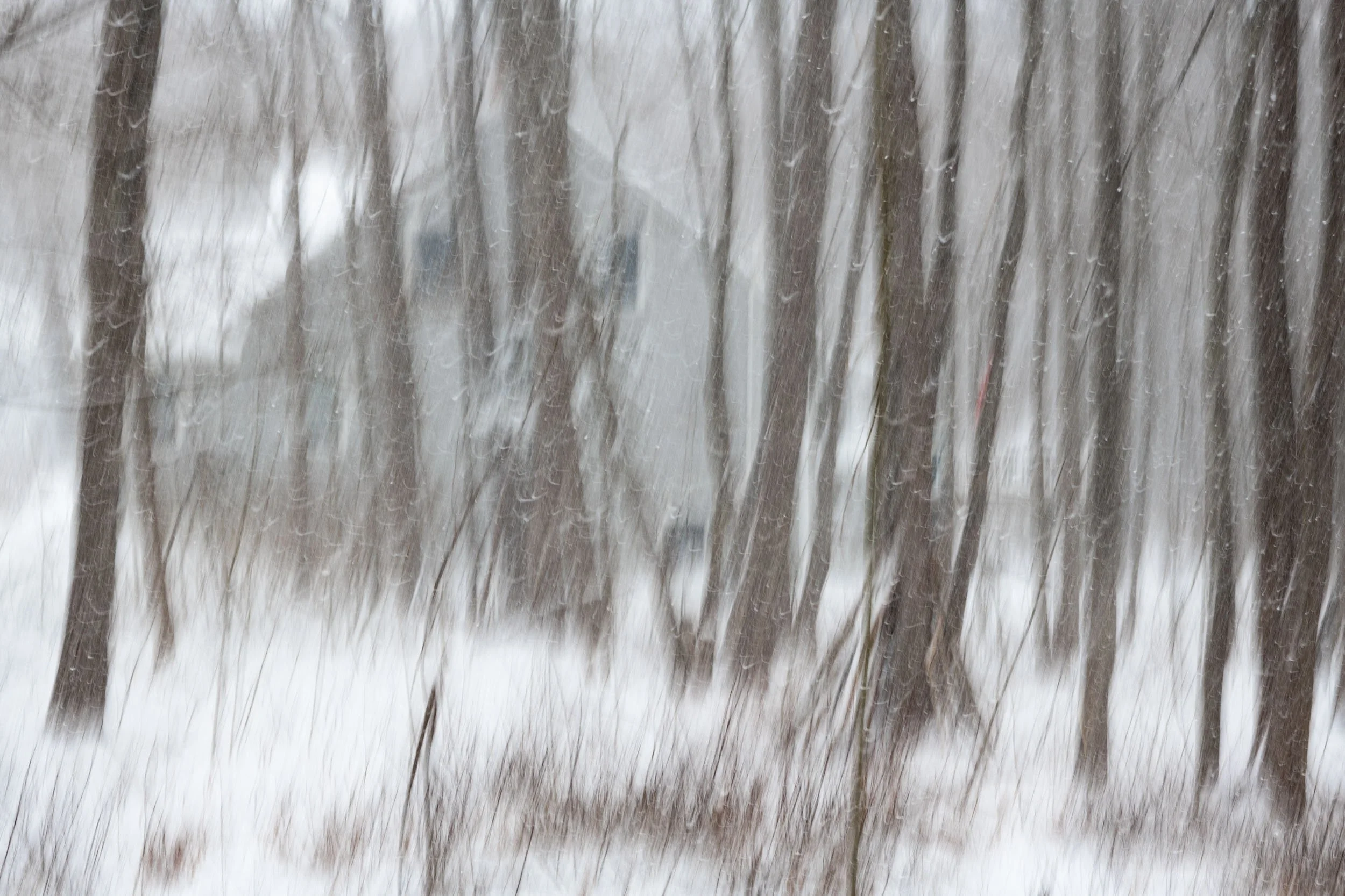 Motion & Blur-016-Gray House in Snow.jpg