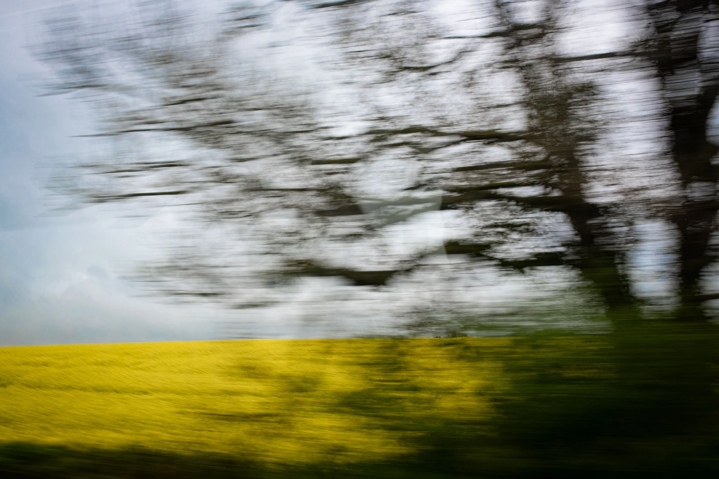 Motion & Blur-021-Mustard Field.jpg