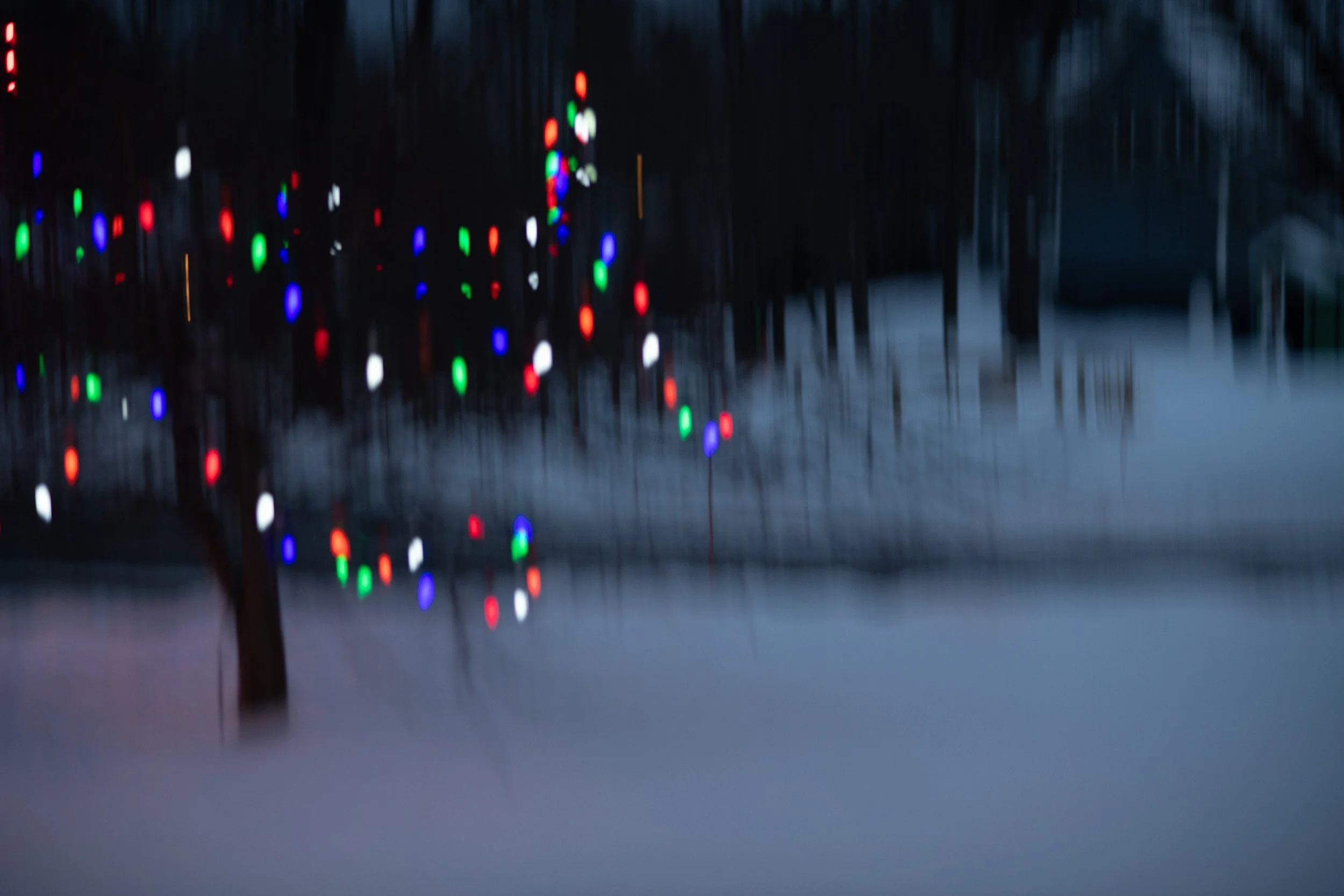 Motion & Blur-019-Holiday Lights on Tree.jpg