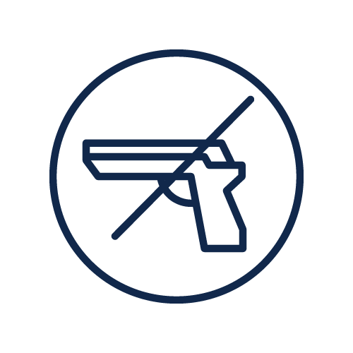 Common Sense Firearms Laws