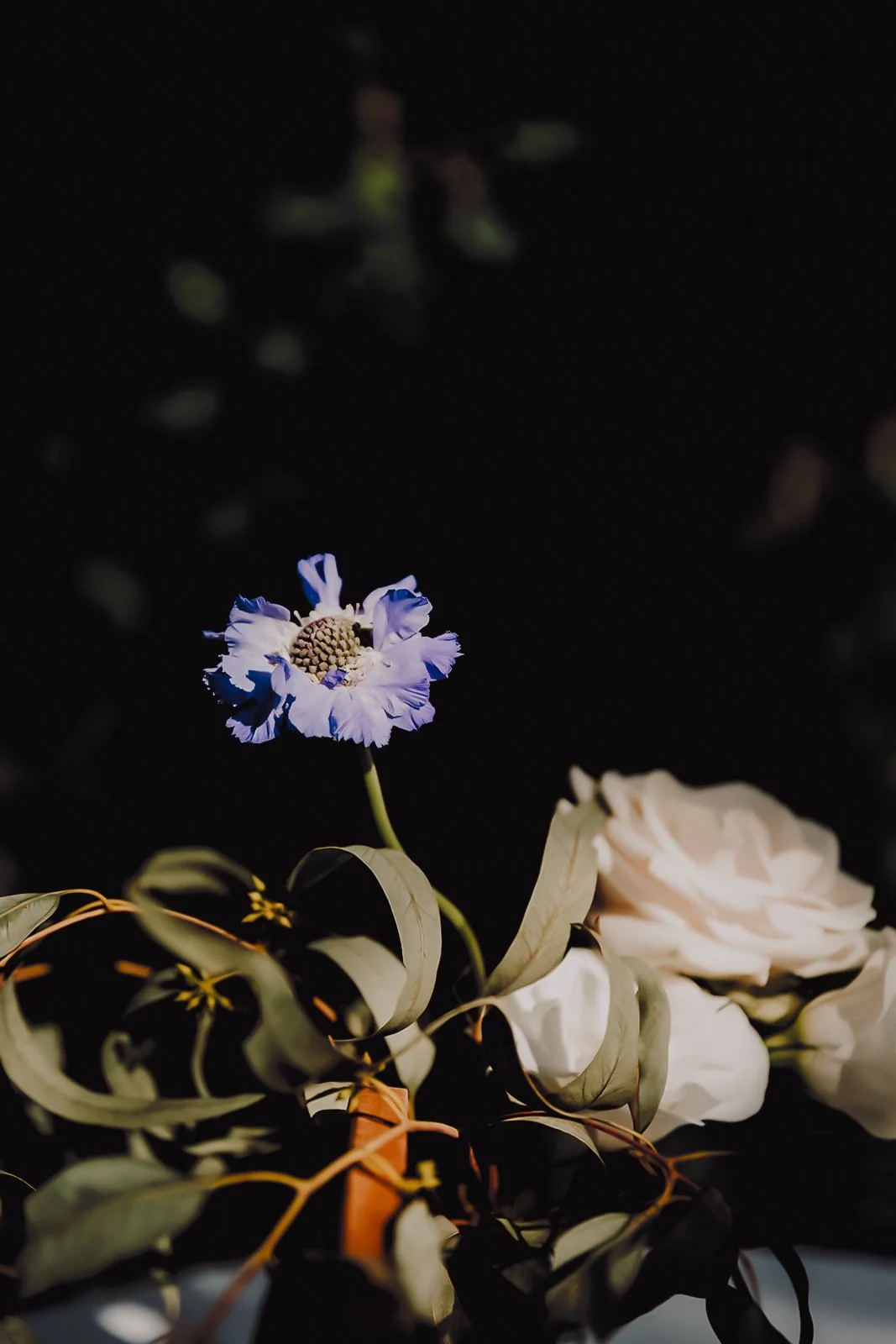 Destination wedding locations , venues , views and gardens - Jo Kemp Photography-31.jpg
