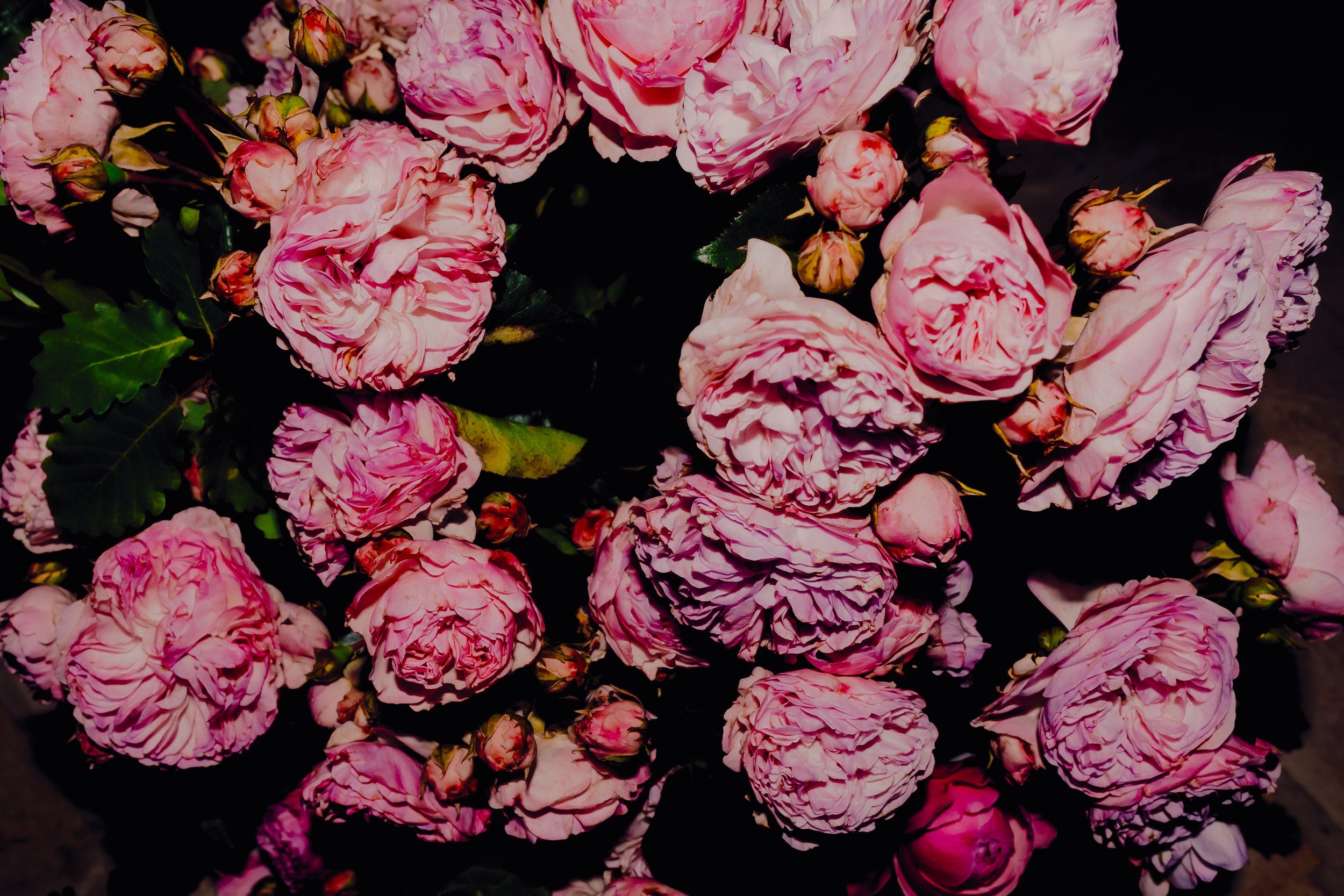 Beautiful Wedding Flowers, Pink Roses