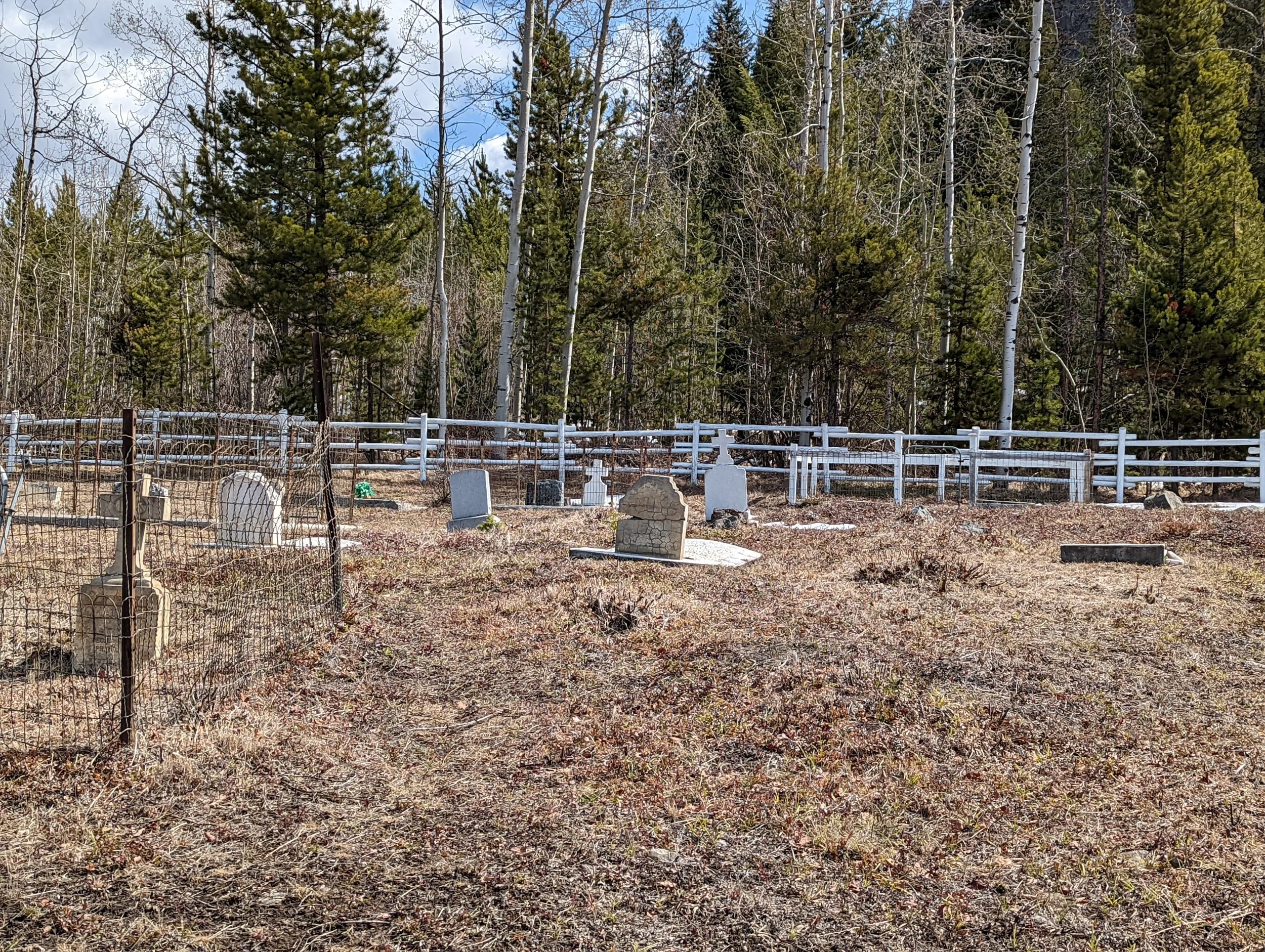 PXL_20220423_191825500.jpg