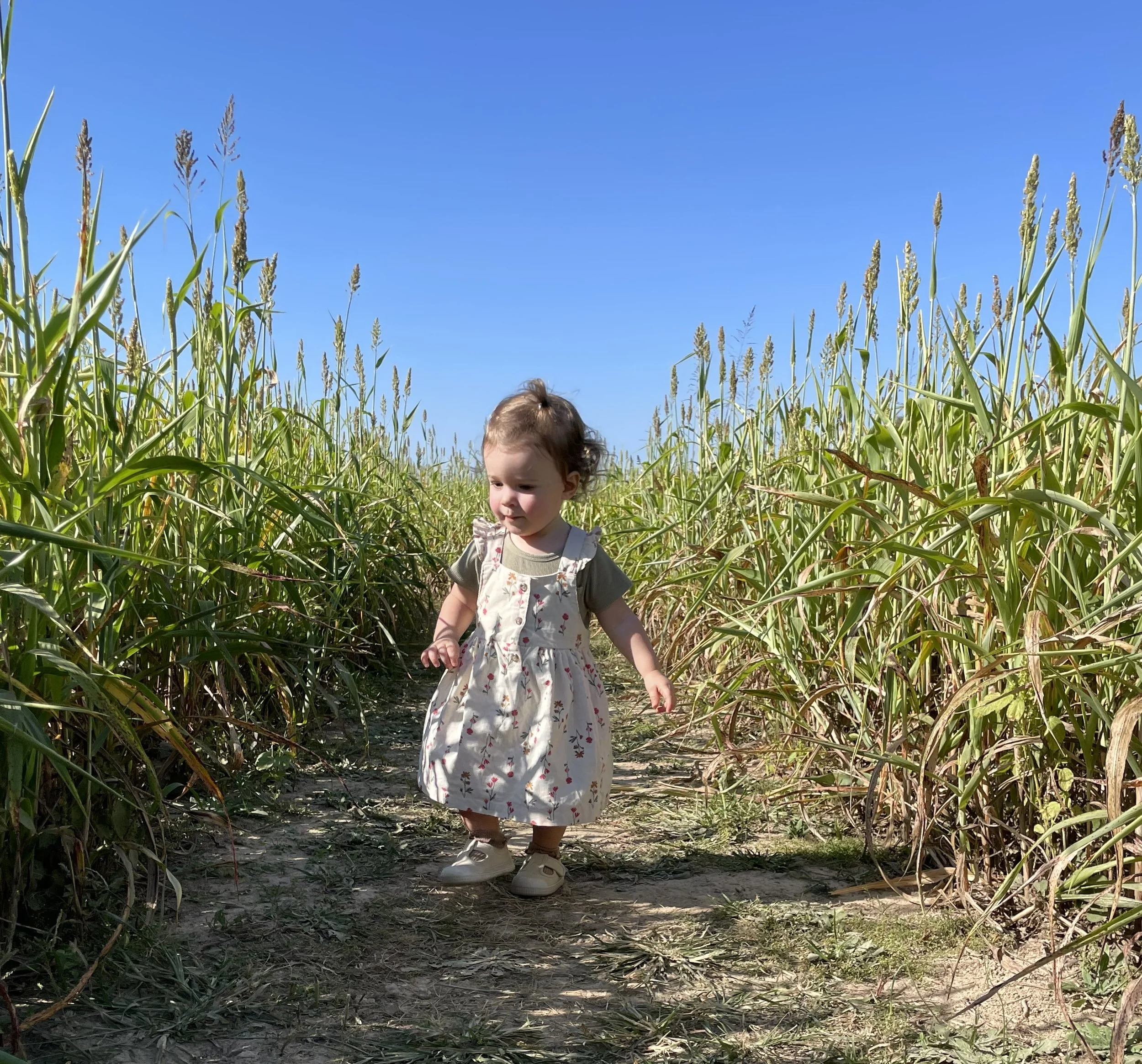 Young girl walking through a grassy field, representing the outdoor-based approach of Rooted Kids Therapy in Mountain Home, AR.