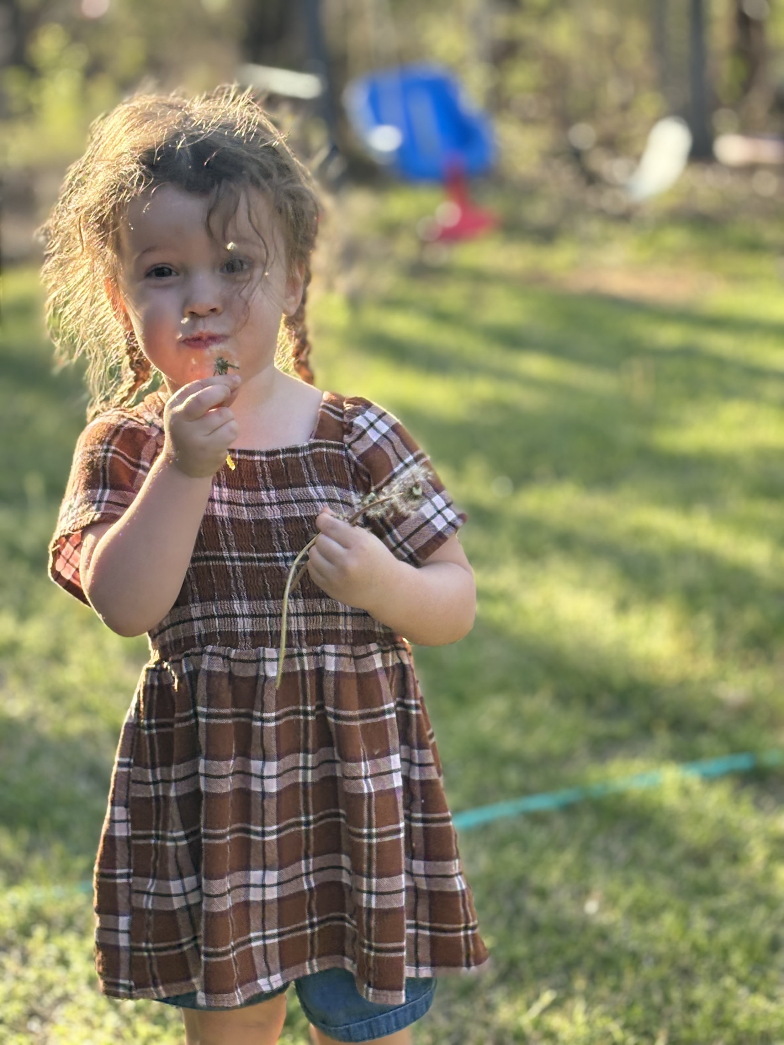 A child holding a dandelion outdoors, representing the outdoor-based Grow Groups enrichment program at Rooted Kids Therapy.