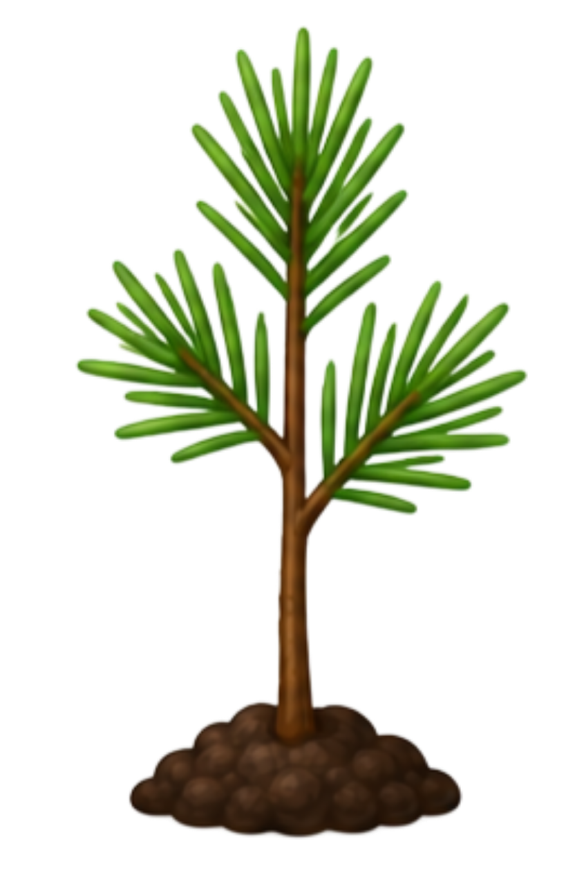 Small sapling pine tree icon representing the Saplings Grow Group, ages 6 to 8, at Rooted Kids Therapy.
