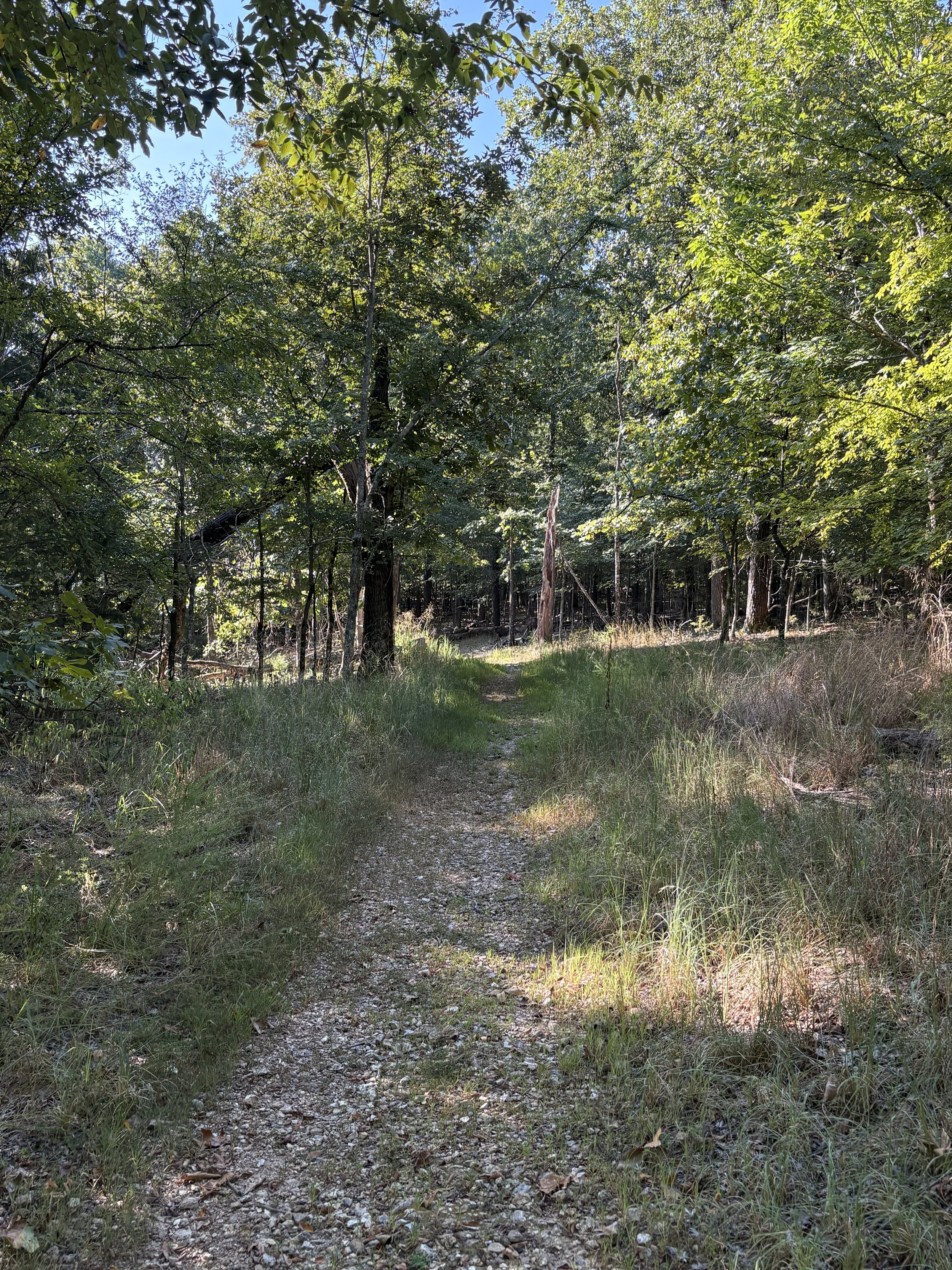 Trail.jpg
