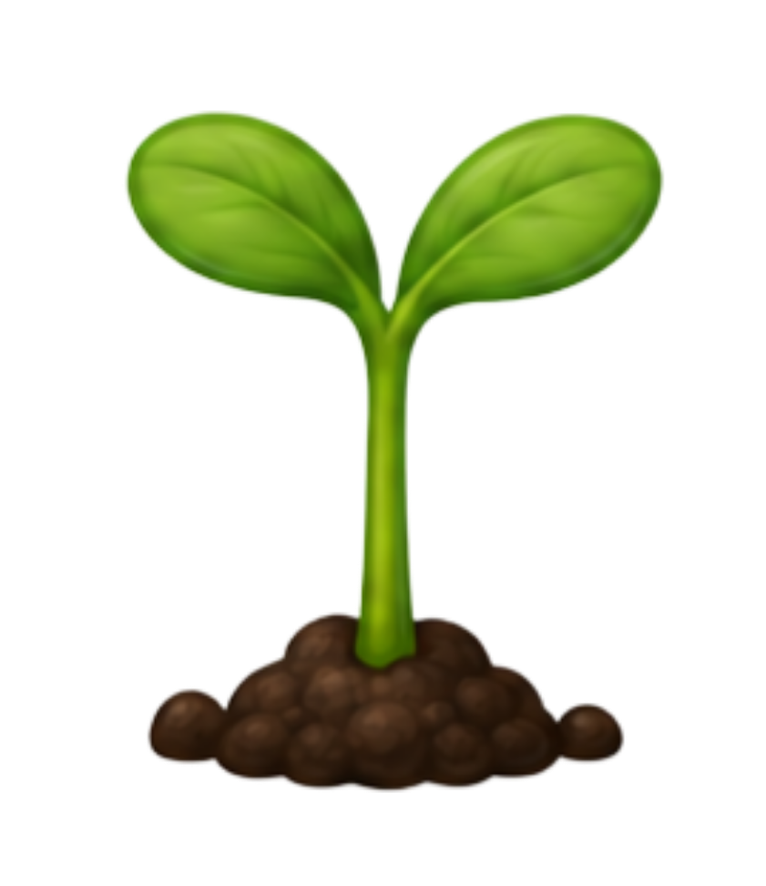 A young green sprout with two leaves representing the Sprouts Grow Group, ages 3 to 5, at Rooted Kids Therapy.