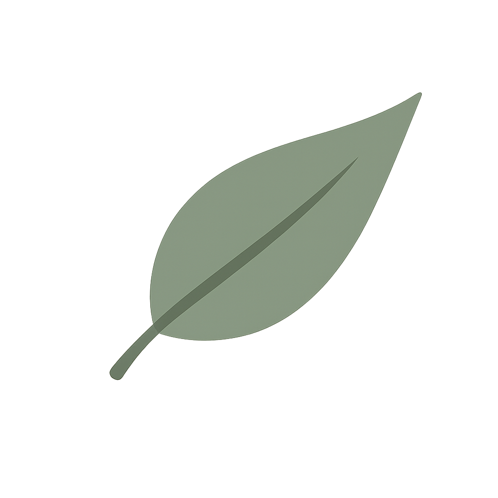 A simple illustration of a green leaf with a visible central vein.